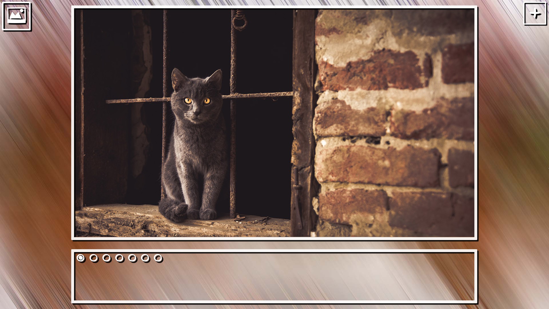 Super Jigsaw Puzzle: Generations – Cats Puzzles