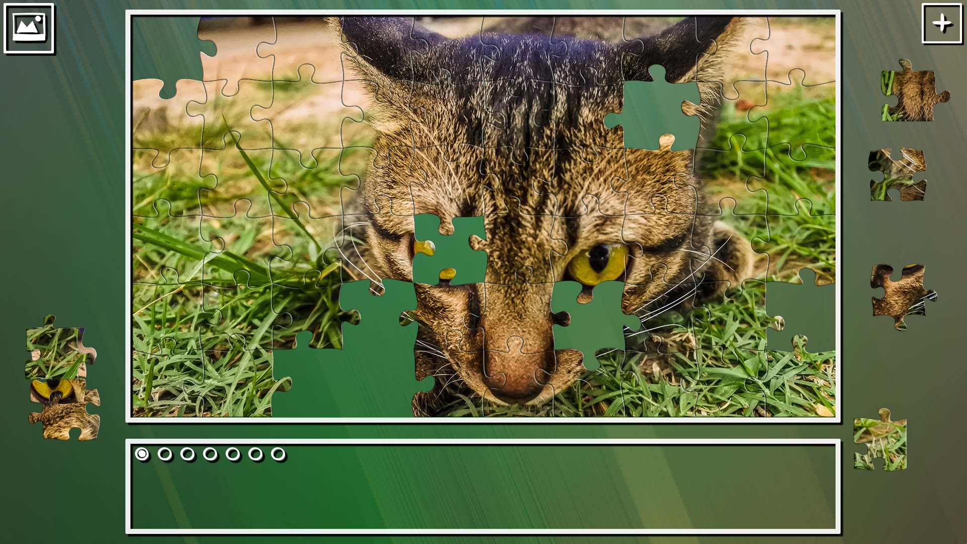 Super Jigsaw Puzzle: Generations – Cats Puzzles