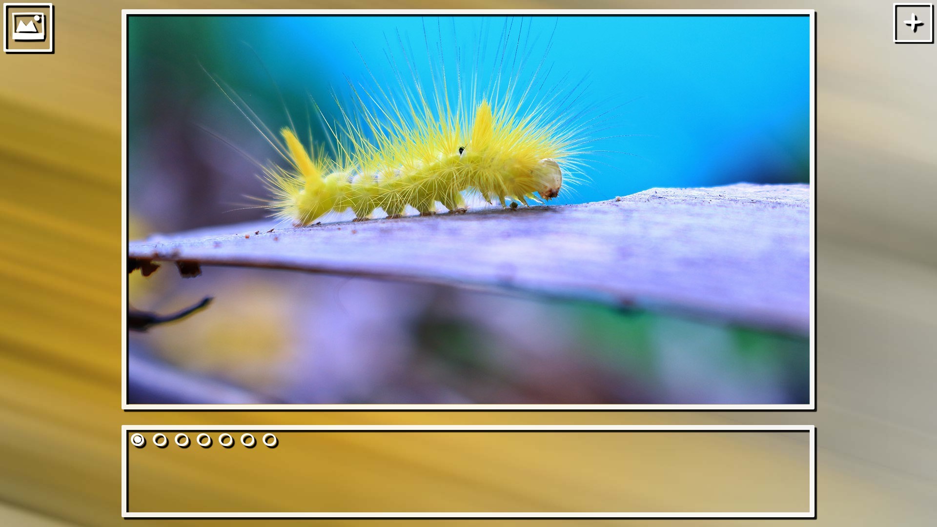 Super Jigsaw Puzzle: Generations – Bugs Puzzles