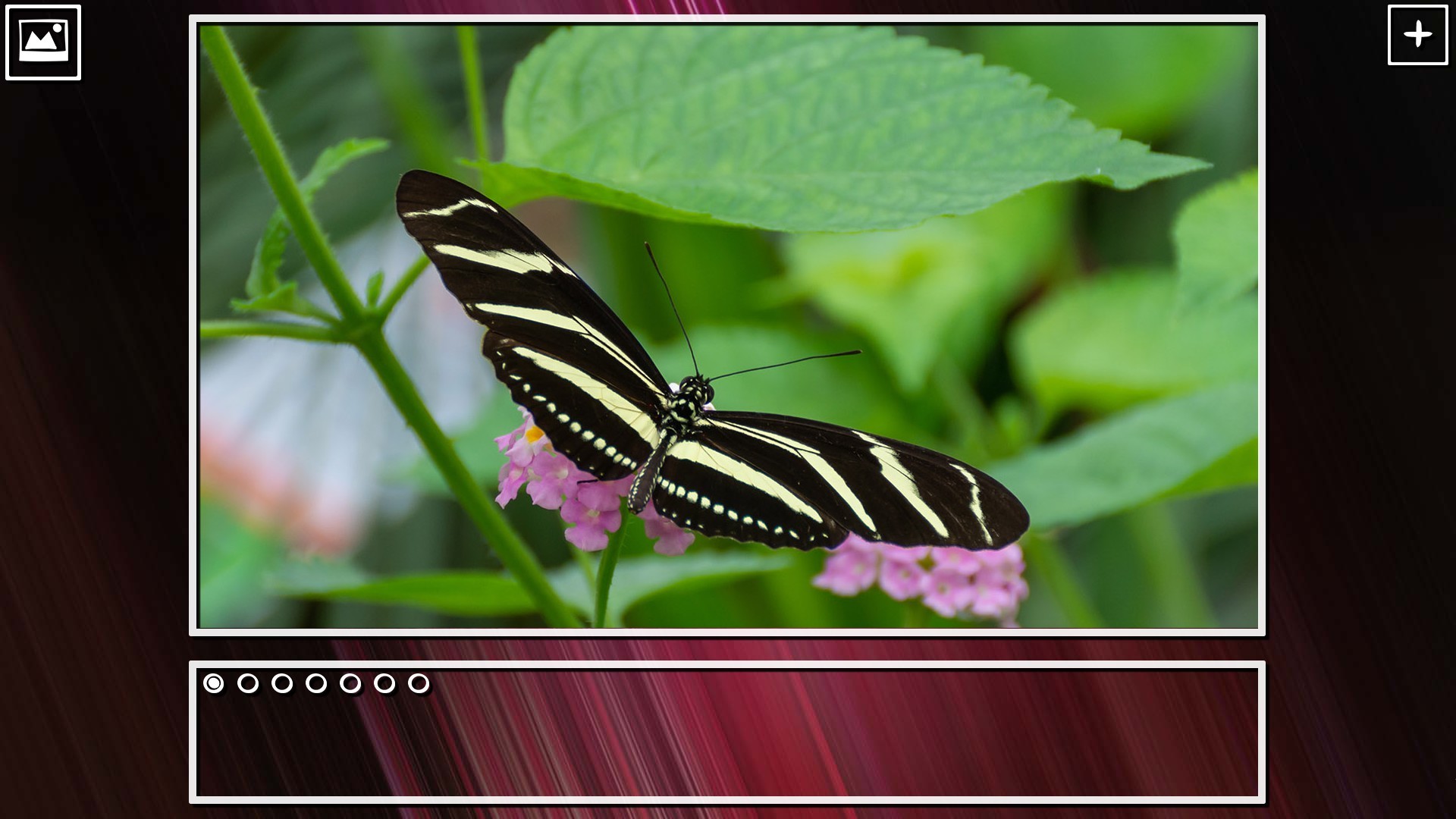 Super Jigsaw Puzzle: Generations – Bugs Puzzles