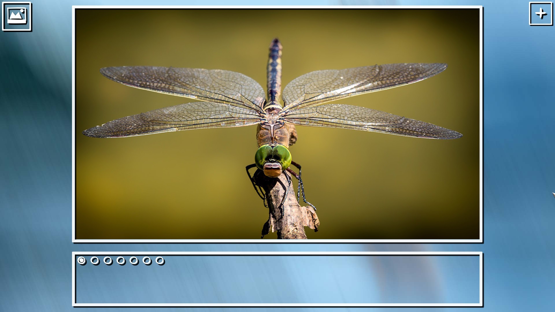 Super Jigsaw Puzzle: Generations – Bugs Puzzles