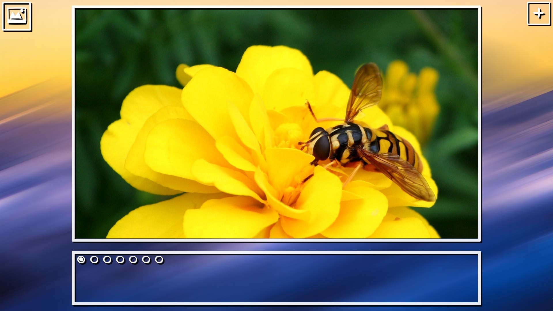 Super Jigsaw Puzzle: Generations – Bugs Puzzles