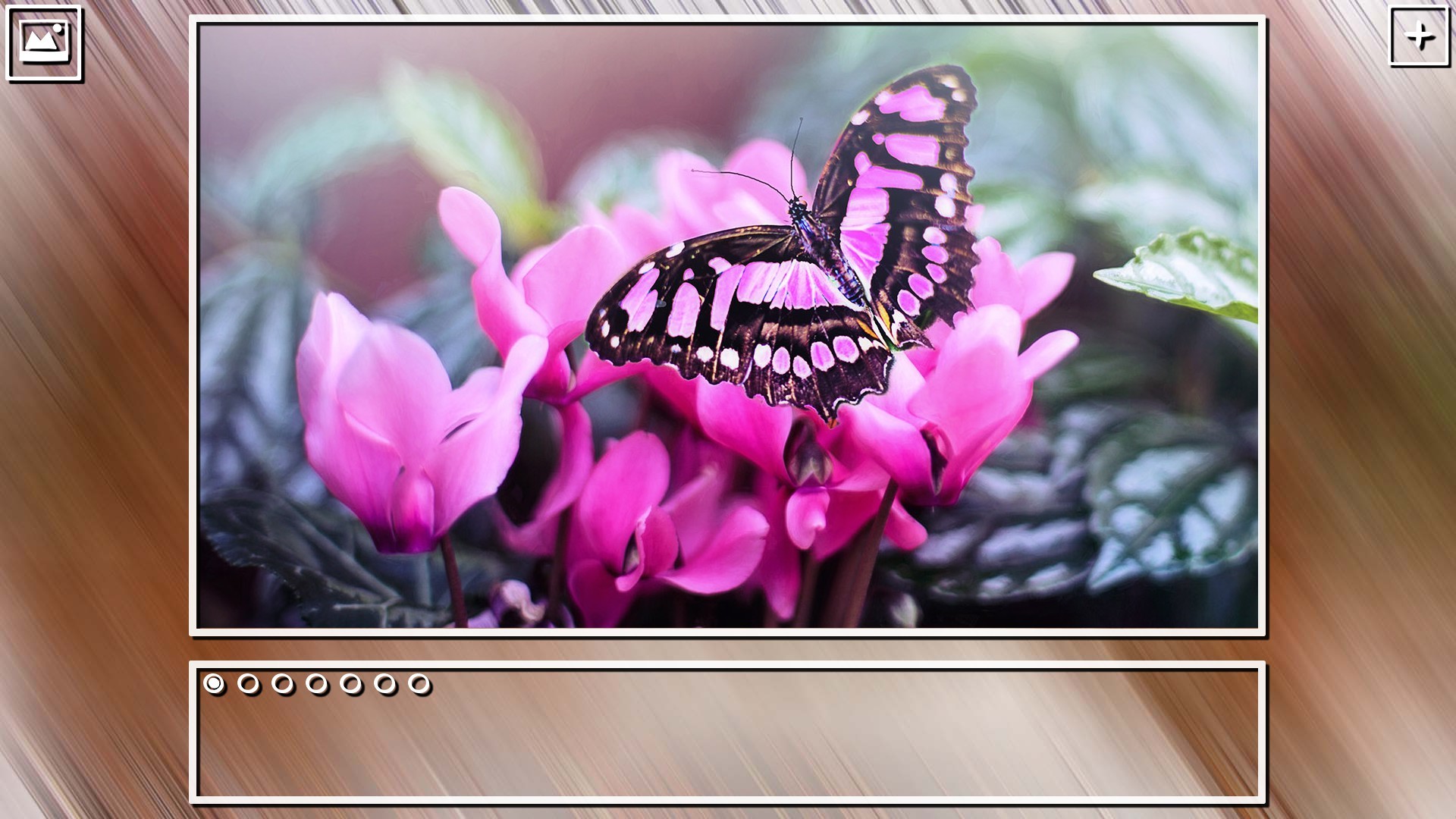 Super Jigsaw Puzzle: Generations – Bugs Puzzles