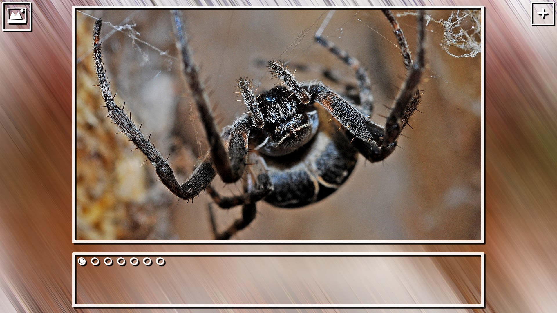 Super Jigsaw Puzzle: Generations – Bugs Puzzles