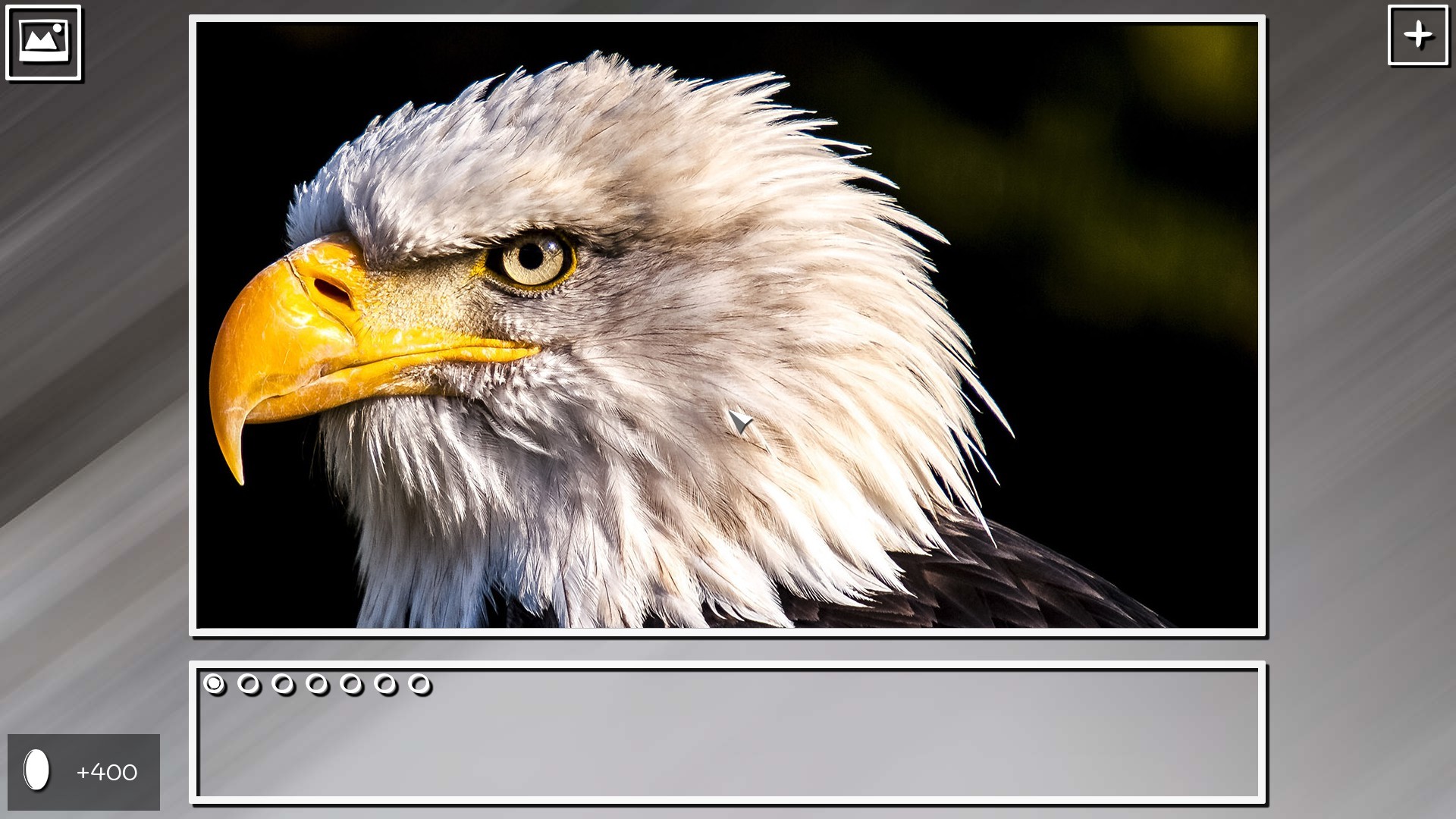 Super Jigsaw Puzzle: Generations – Random Animals Puzzles