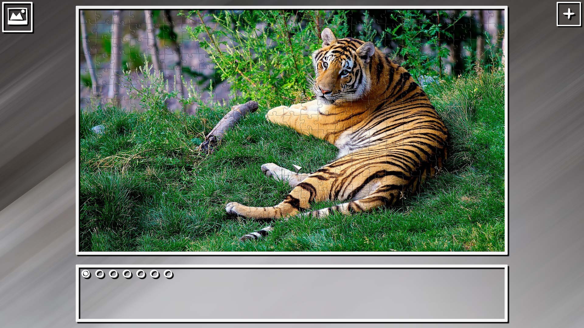 Super Jigsaw Puzzle: Generations – Random Animals Puzzles