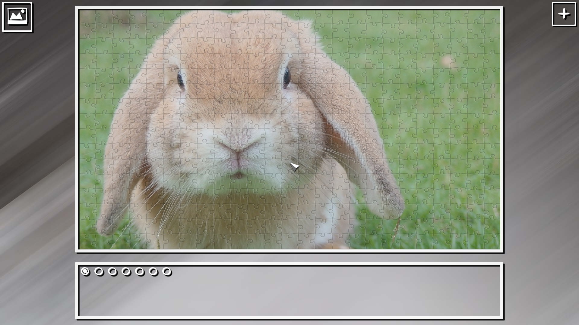 Super Jigsaw Puzzle: Generations – Random Animals Puzzles