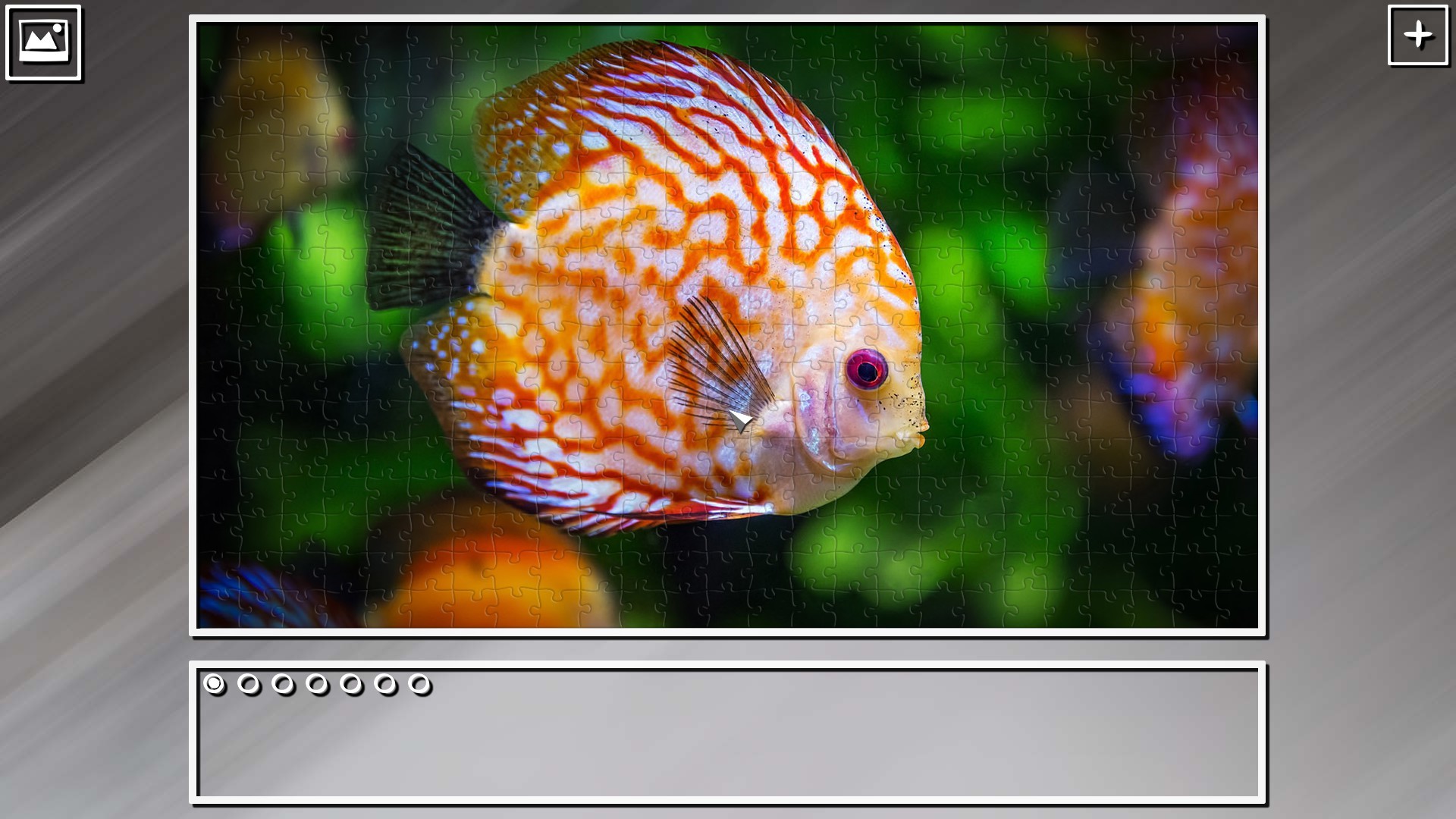 Super Jigsaw Puzzle: Generations – Random Animals Puzzles