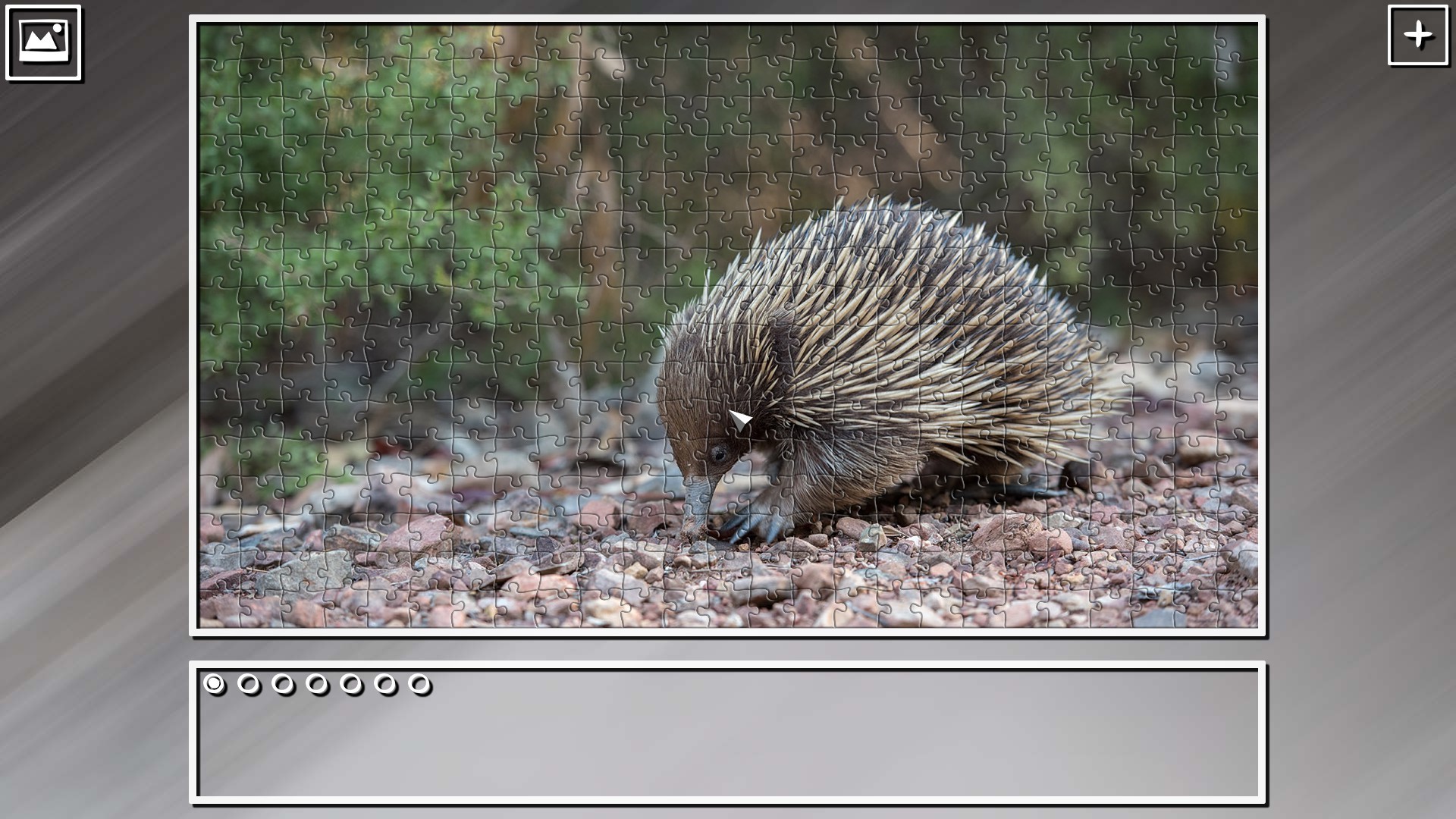 Super Jigsaw Puzzle: Generations – Random Animals Puzzles