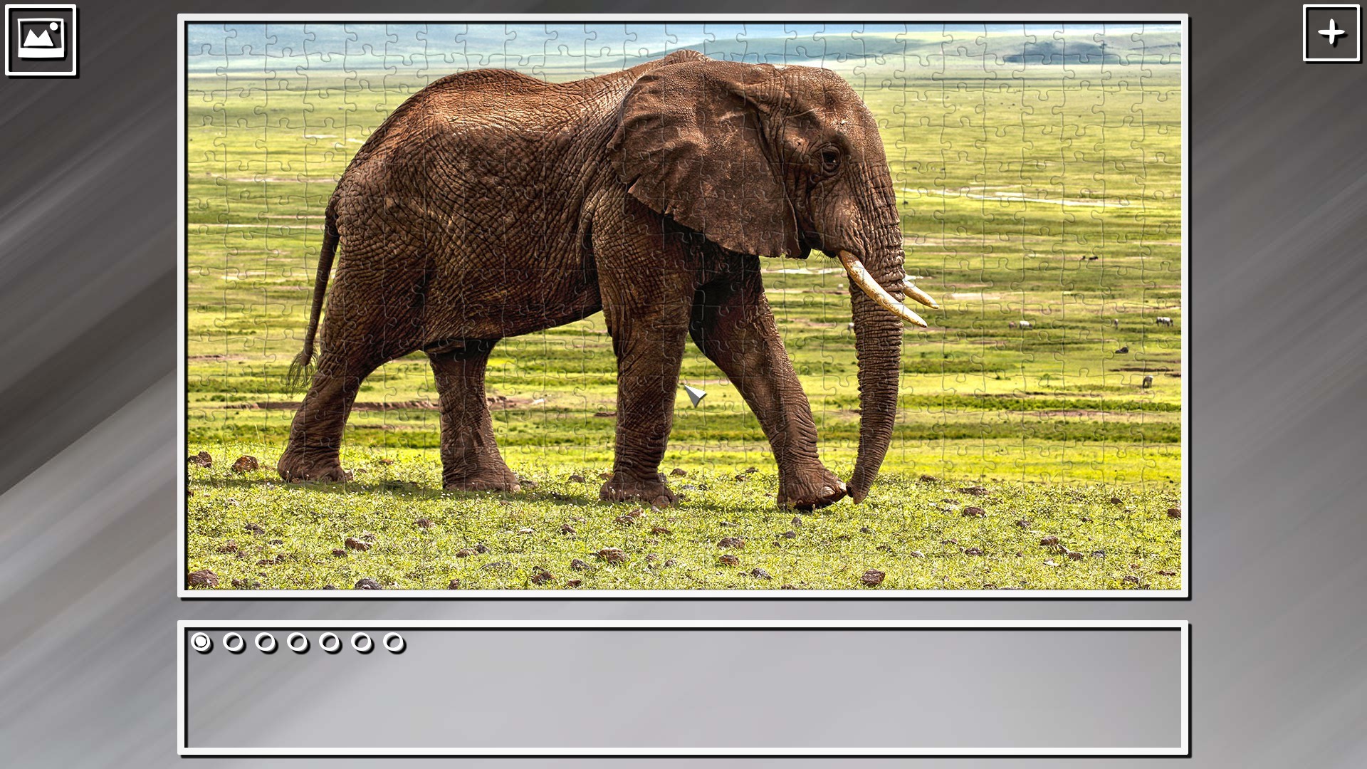 Super Jigsaw Puzzle: Generations – Random Animals Puzzles