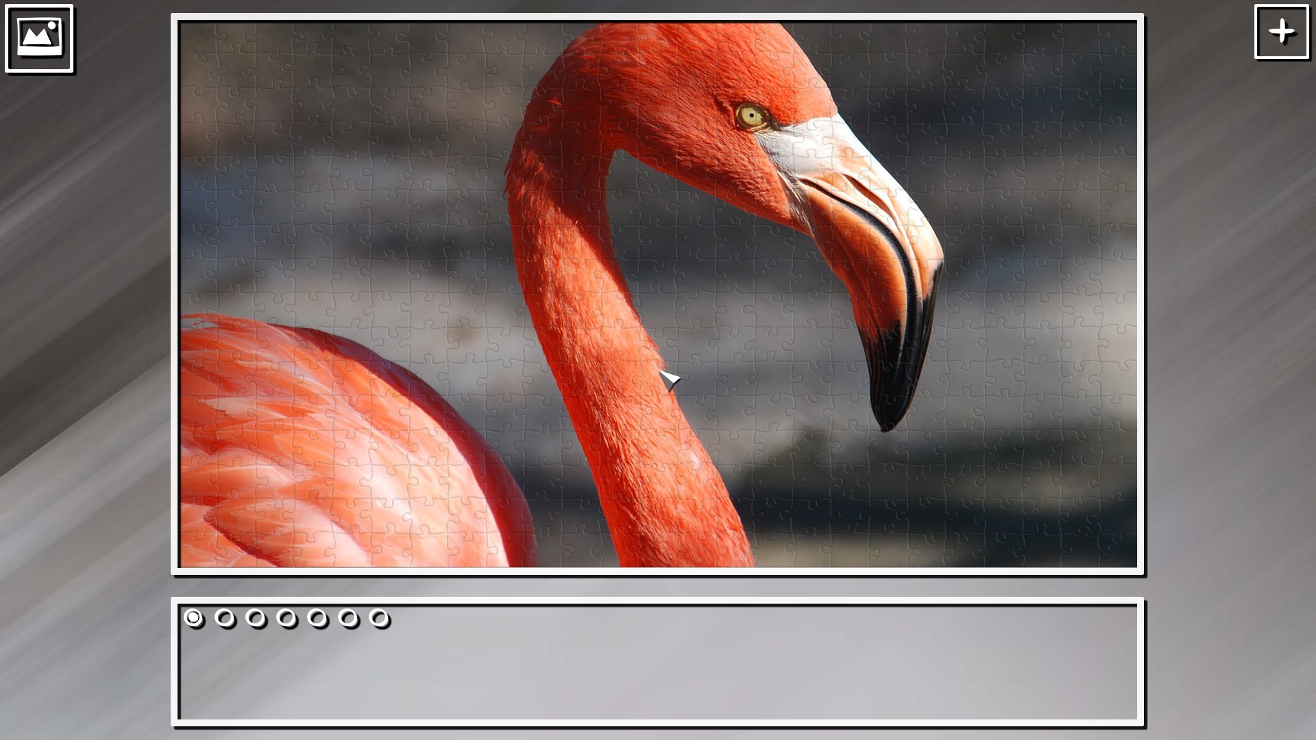 Super Jigsaw Puzzle: Generations – Random Animals Puzzles