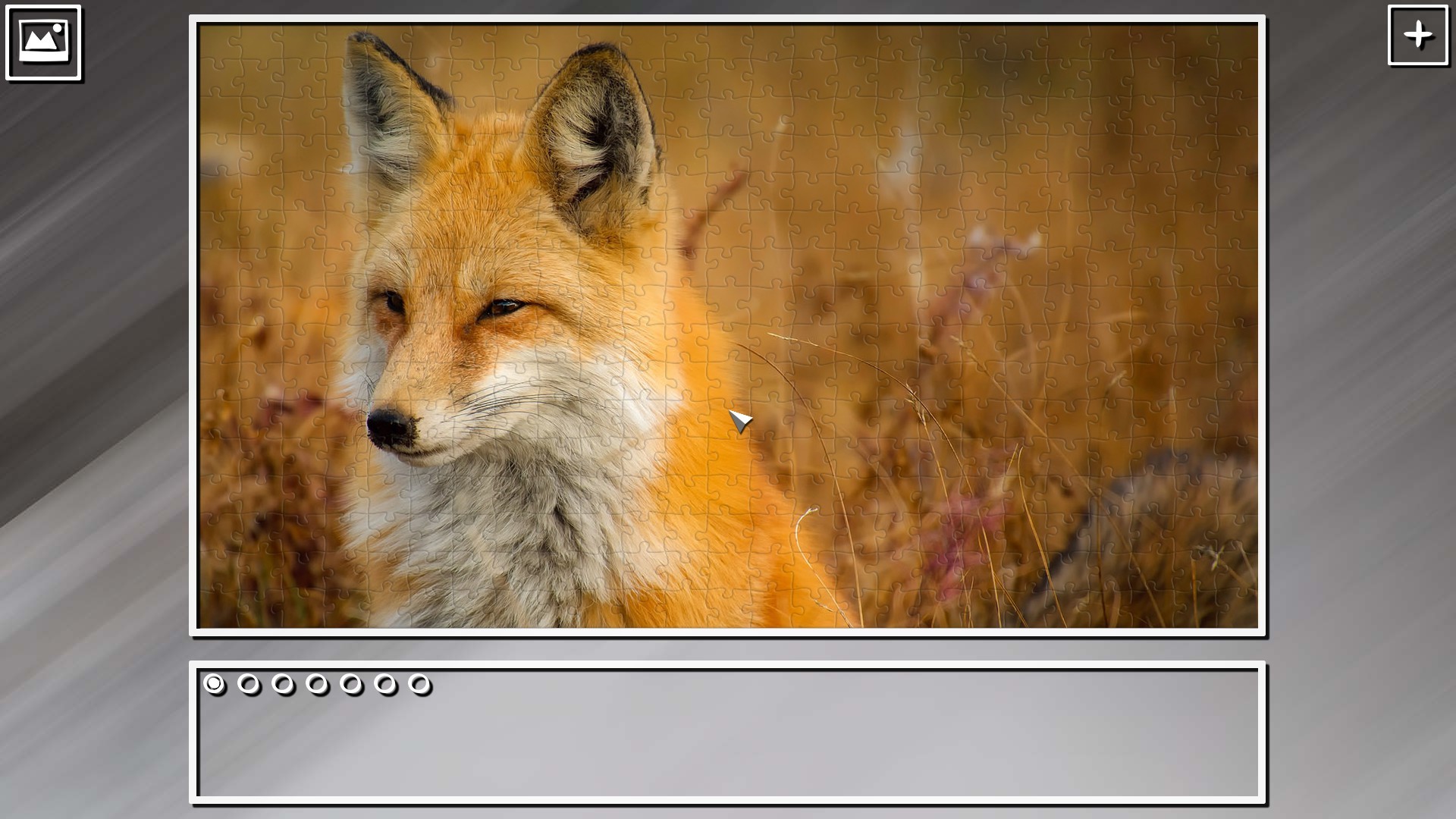 Super Jigsaw Puzzle: Generations – Random Animals Puzzles