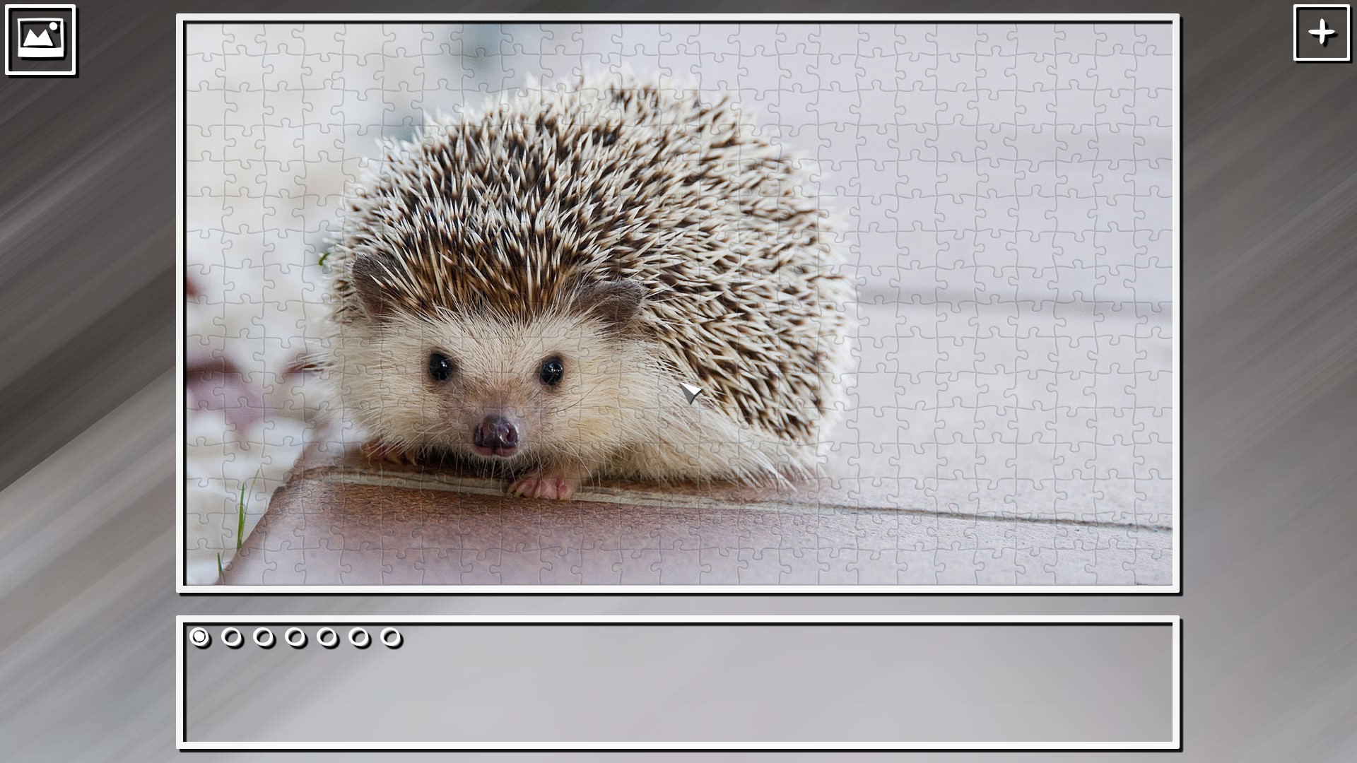 Super Jigsaw Puzzle: Generations – Random Animals Puzzles