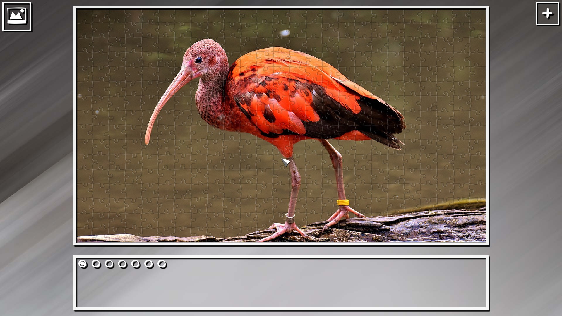 Super Jigsaw Puzzle: Generations – Random Animals Puzzles