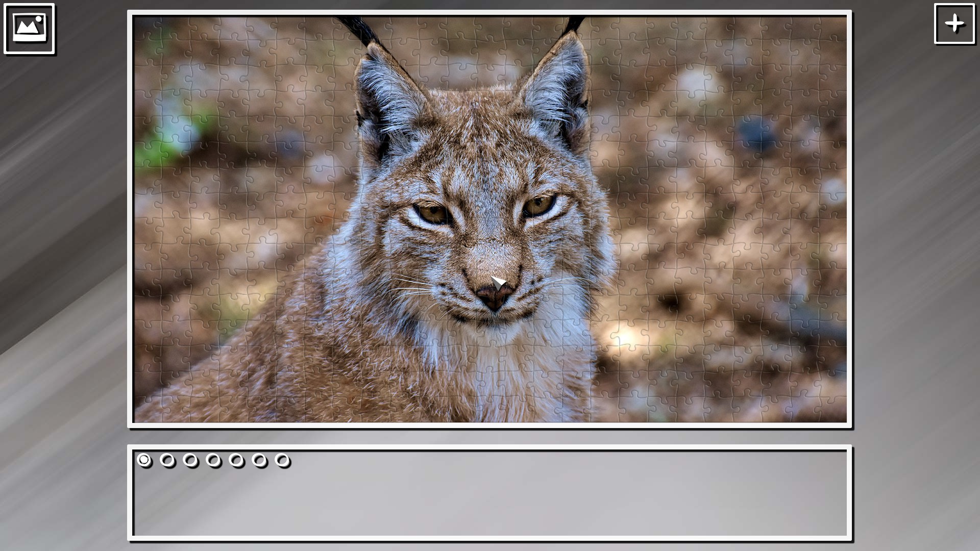 Super Jigsaw Puzzle: Generations – Random Animals Puzzles