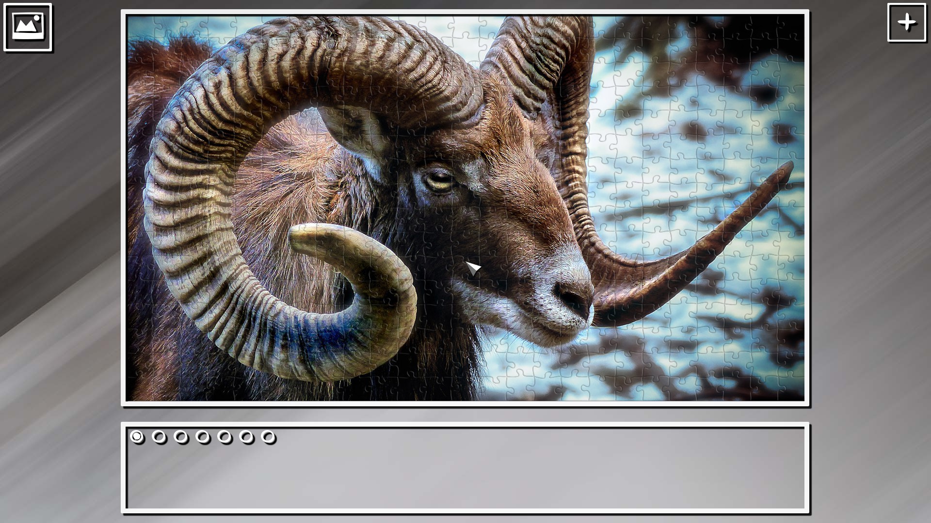 Super Jigsaw Puzzle: Generations – Random Animals Puzzles