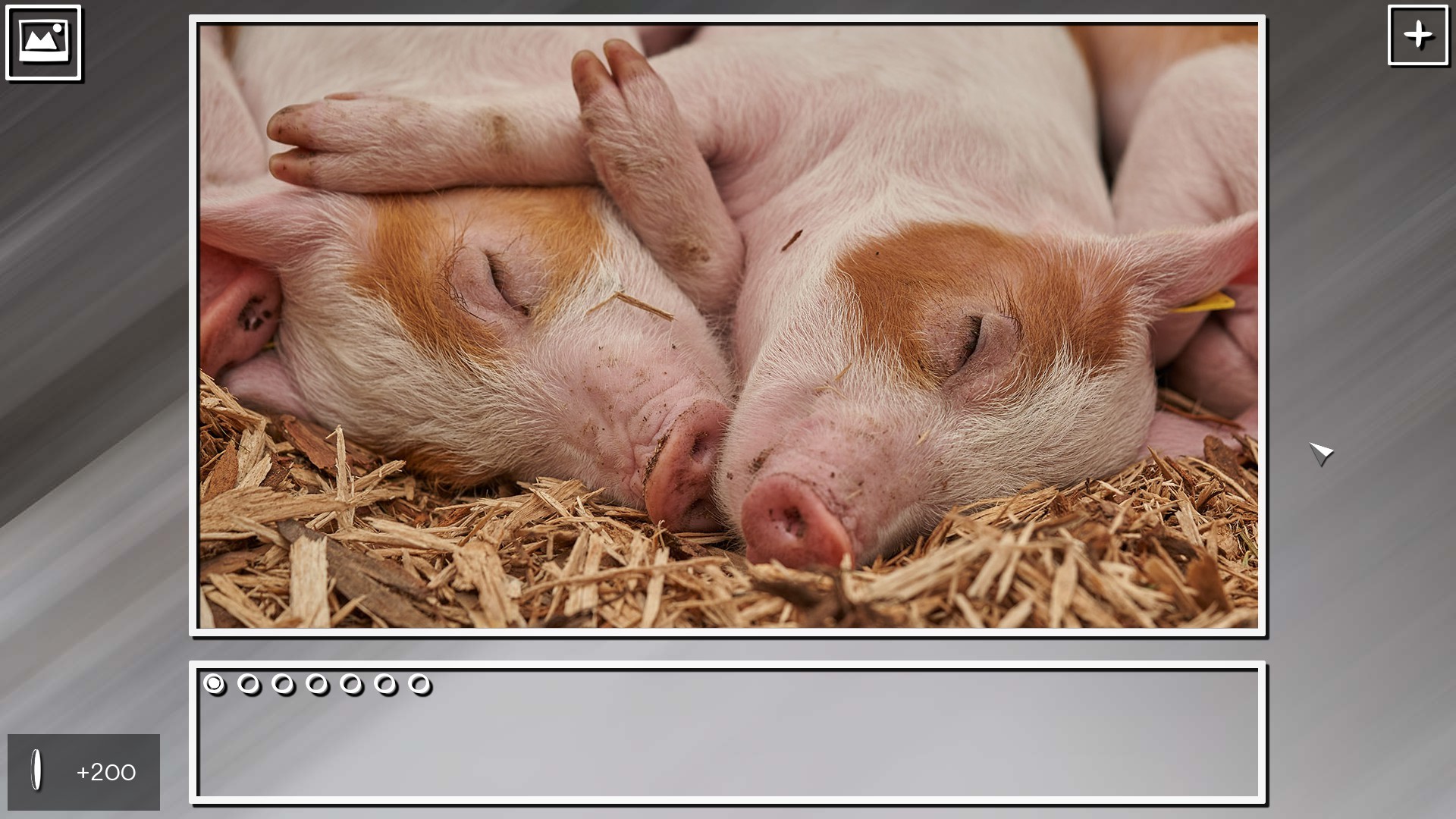 Super Jigsaw Puzzle: Generations – Random Animals Puzzles