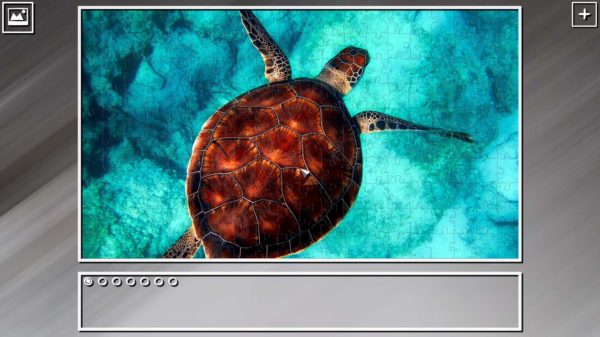 Super Jigsaw Puzzle: Generations – Random Animals Puzzles