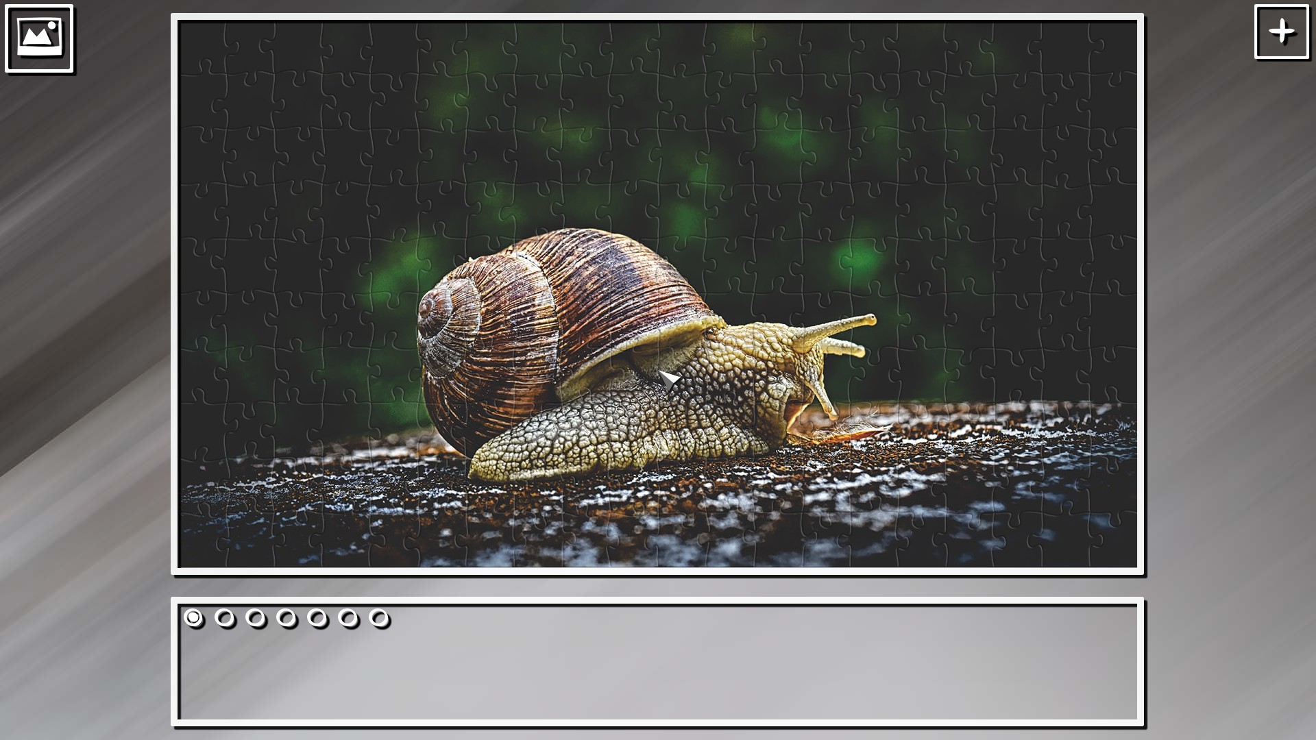 Super Jigsaw Puzzle: Generations – Random Animals Puzzles