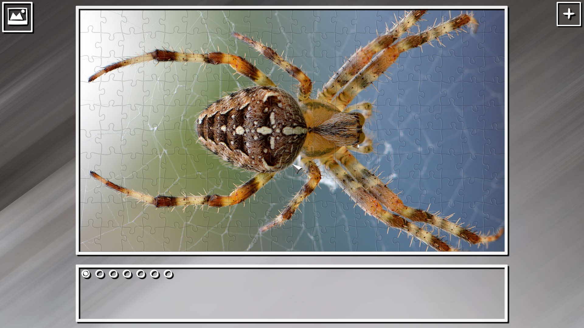 Super Jigsaw Puzzle: Generations – Random Animals Puzzles