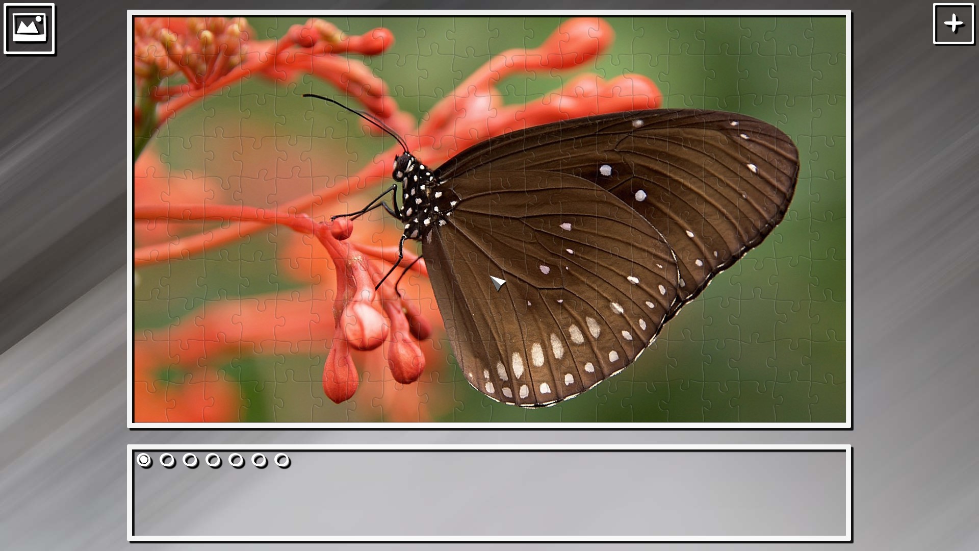 Super Jigsaw Puzzle: Generations – Random Animals Puzzles