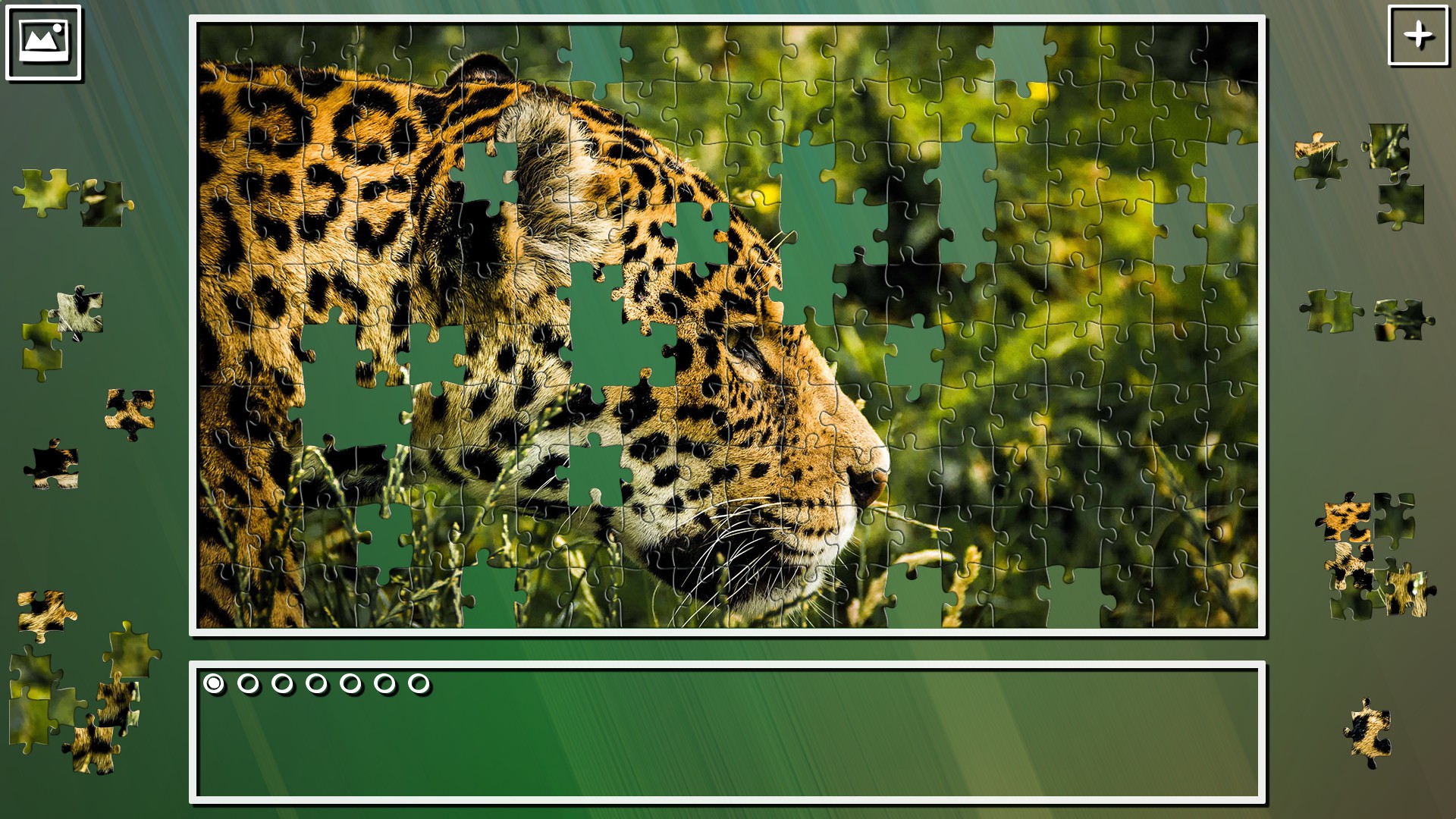 Super Jigsaw Puzzle: Generations – Big Cats Puzzles