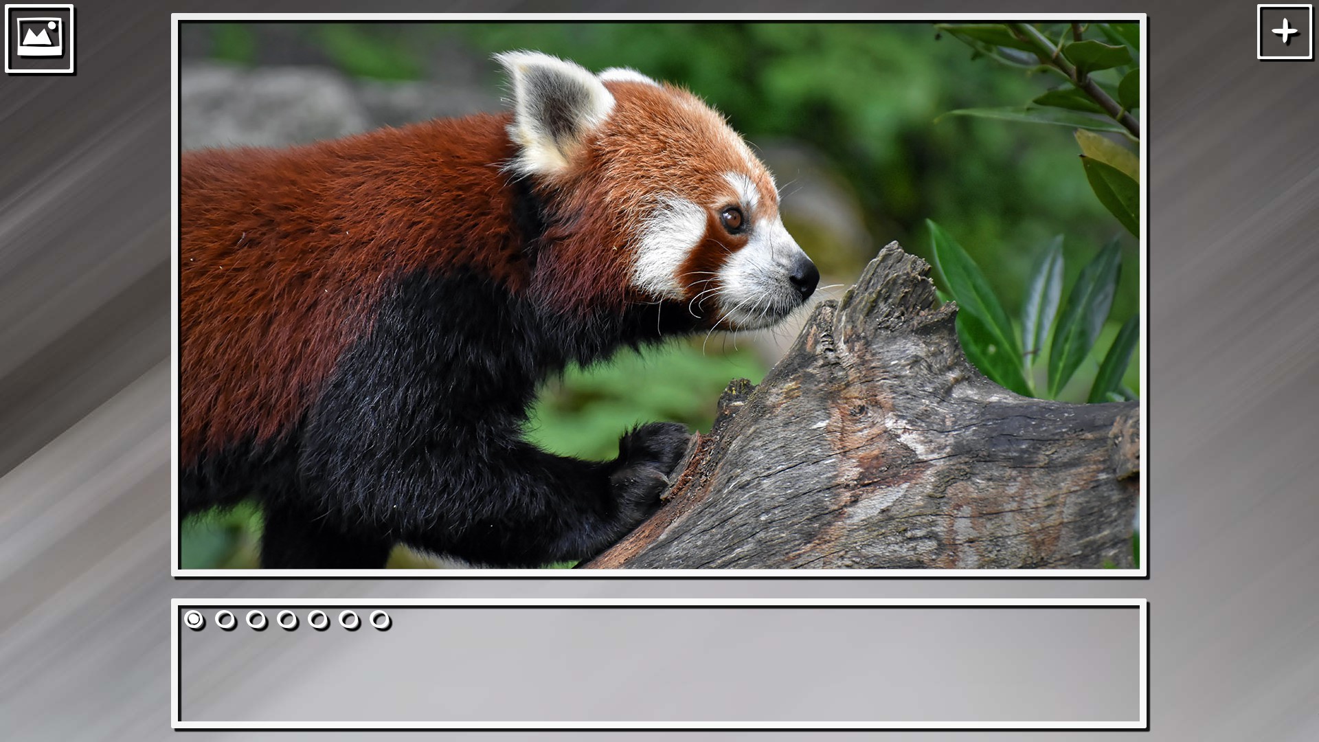 Super Jigsaw Puzzle: Generations – China Puzzles