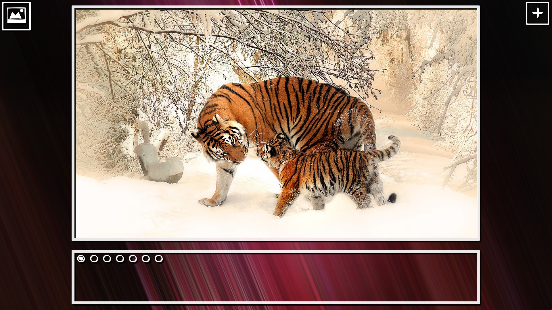 Super Jigsaw Puzzle: Generations – Big Cats Puzzles