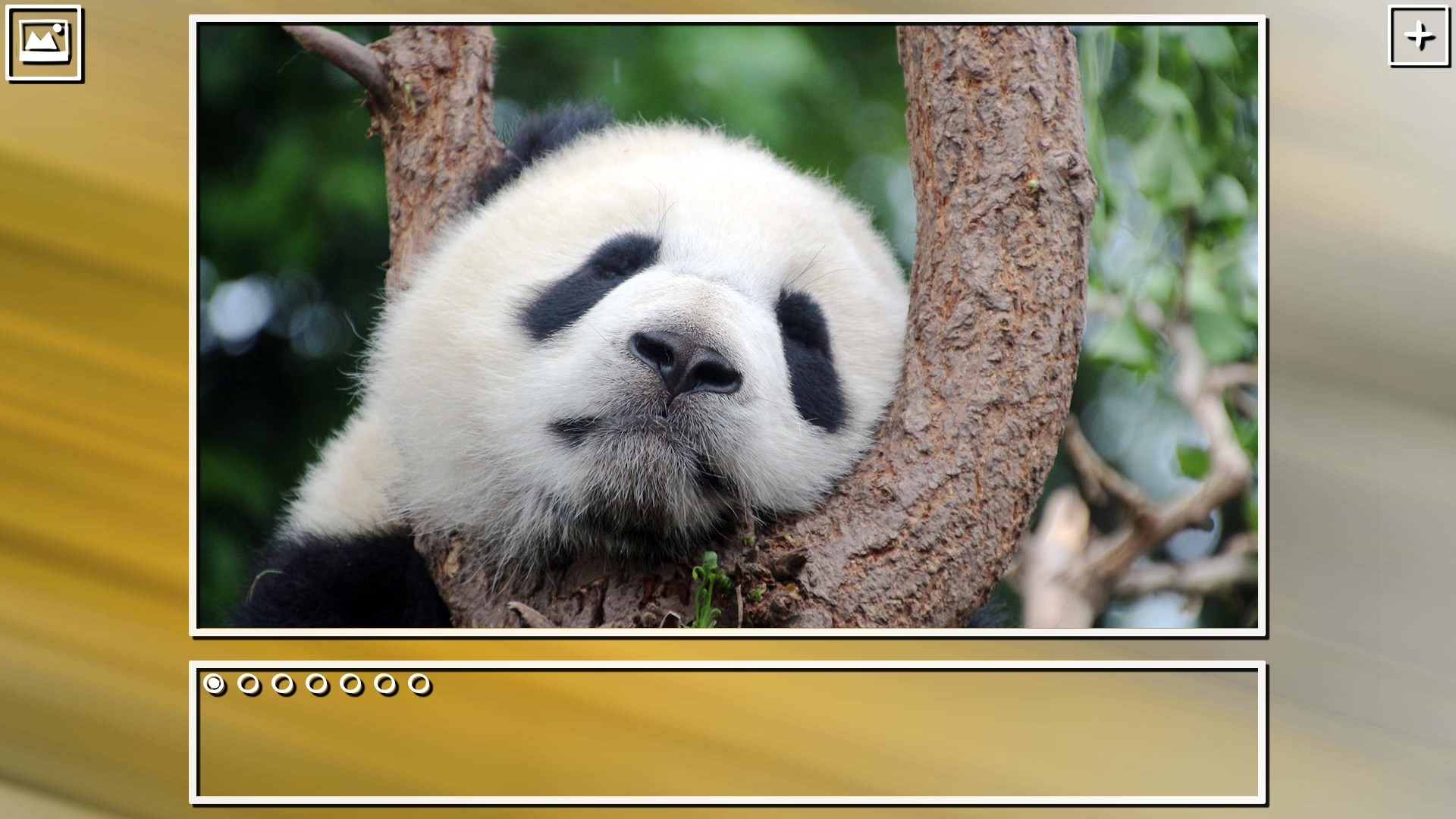 Super Jigsaw Puzzle: Generations – China Puzzles