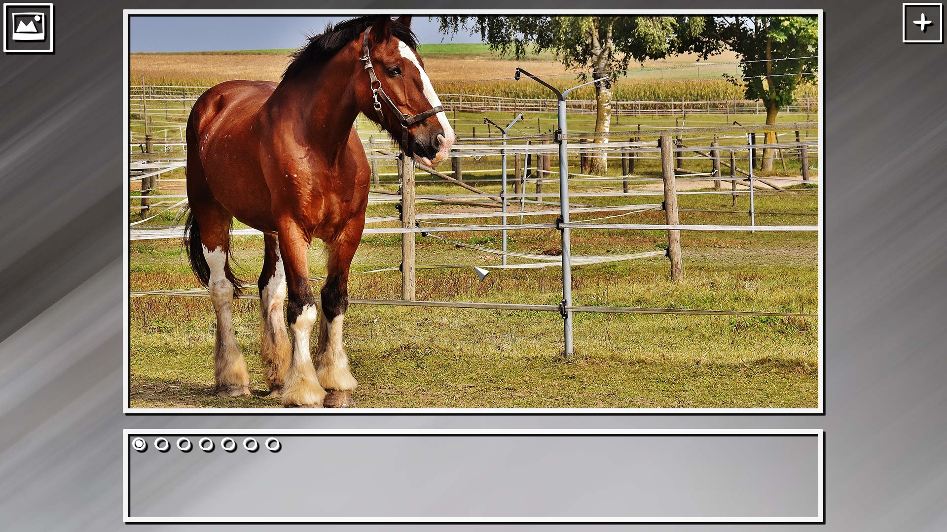 Super Jigsaw Puzzle: Generations – Horses Puzzles
