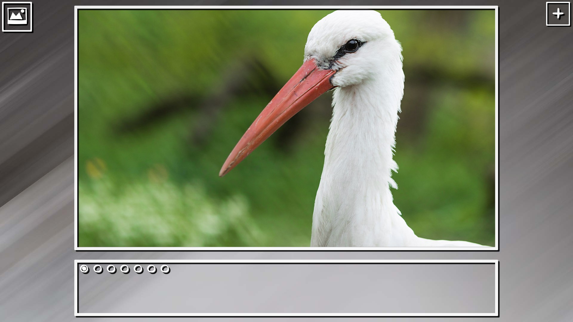 Super Jigsaw Puzzle: Generations – Birds Puzzles