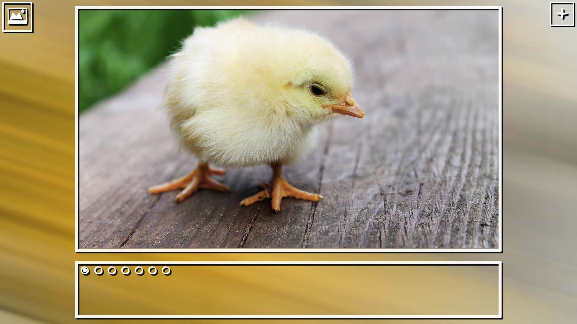 Super Jigsaw Puzzle: Generations – Birds Puzzles