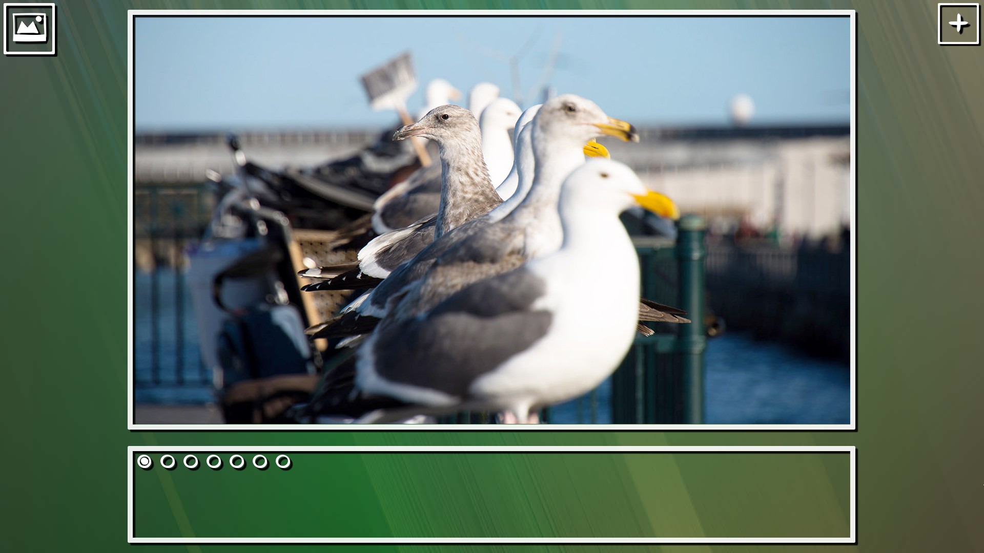 Super Jigsaw Puzzle: Generations – Birds Puzzles