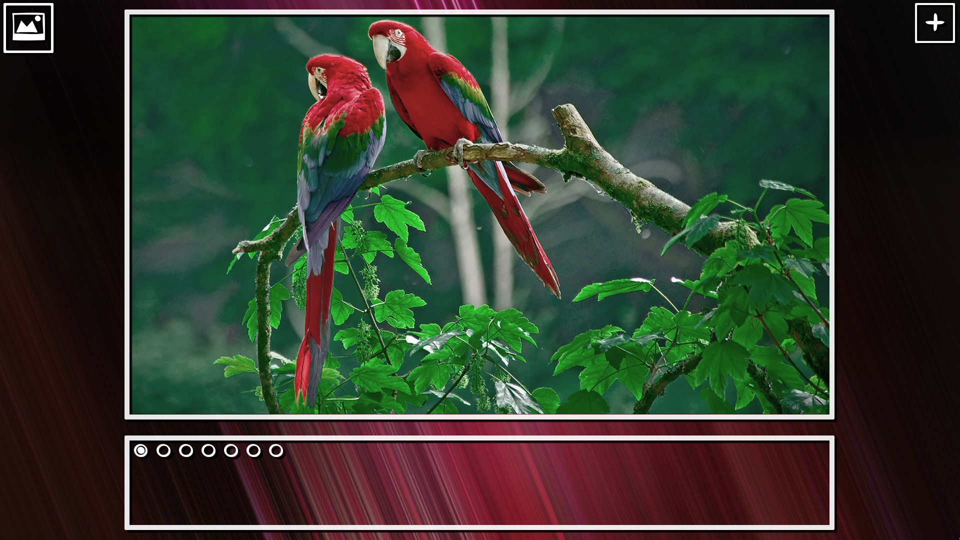 Super Jigsaw Puzzle: Generations – Birds Puzzles