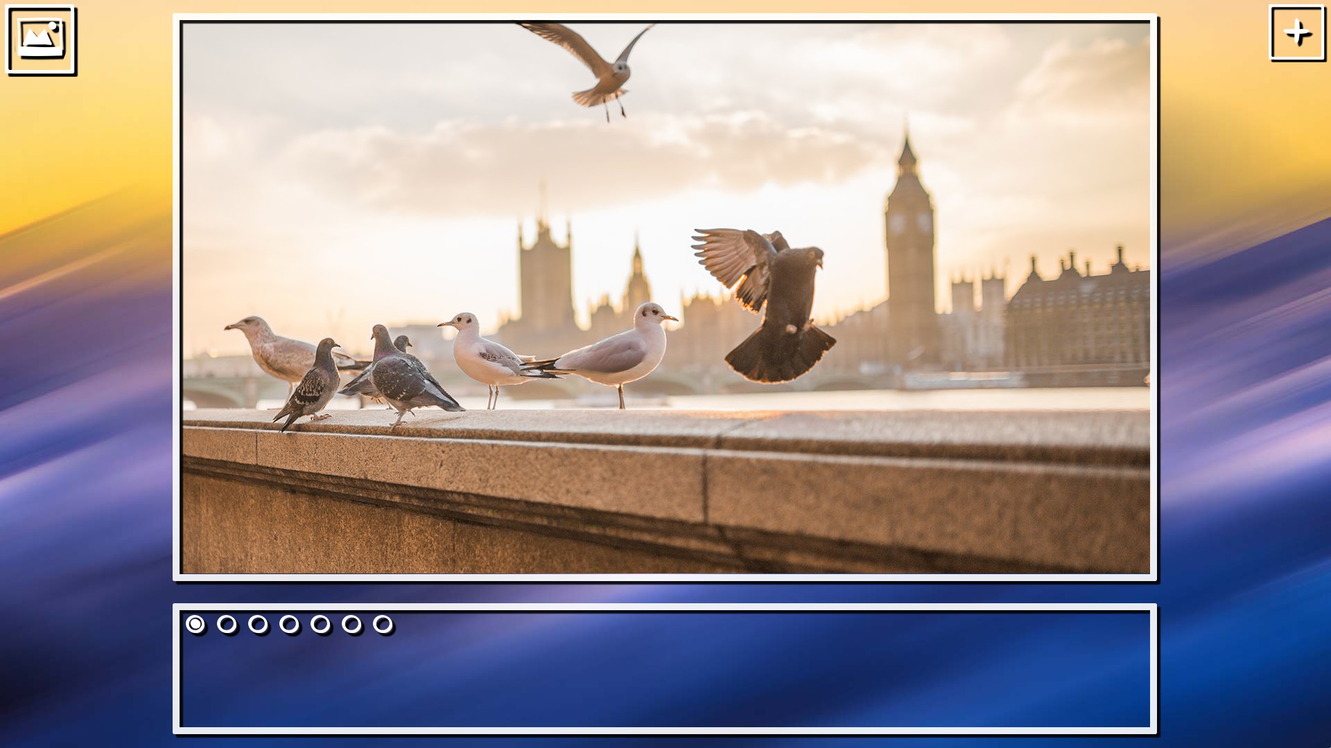 Super Jigsaw Puzzle: Generations – Birds Puzzles