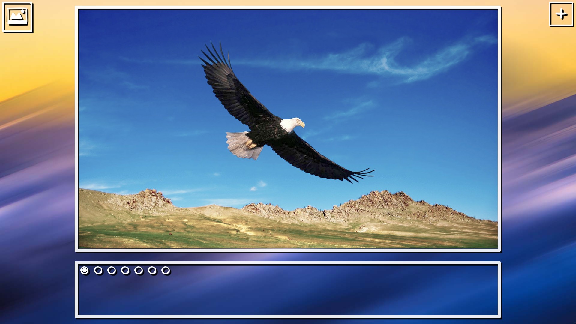 Super Jigsaw Puzzle: Generations – Birds Puzzles