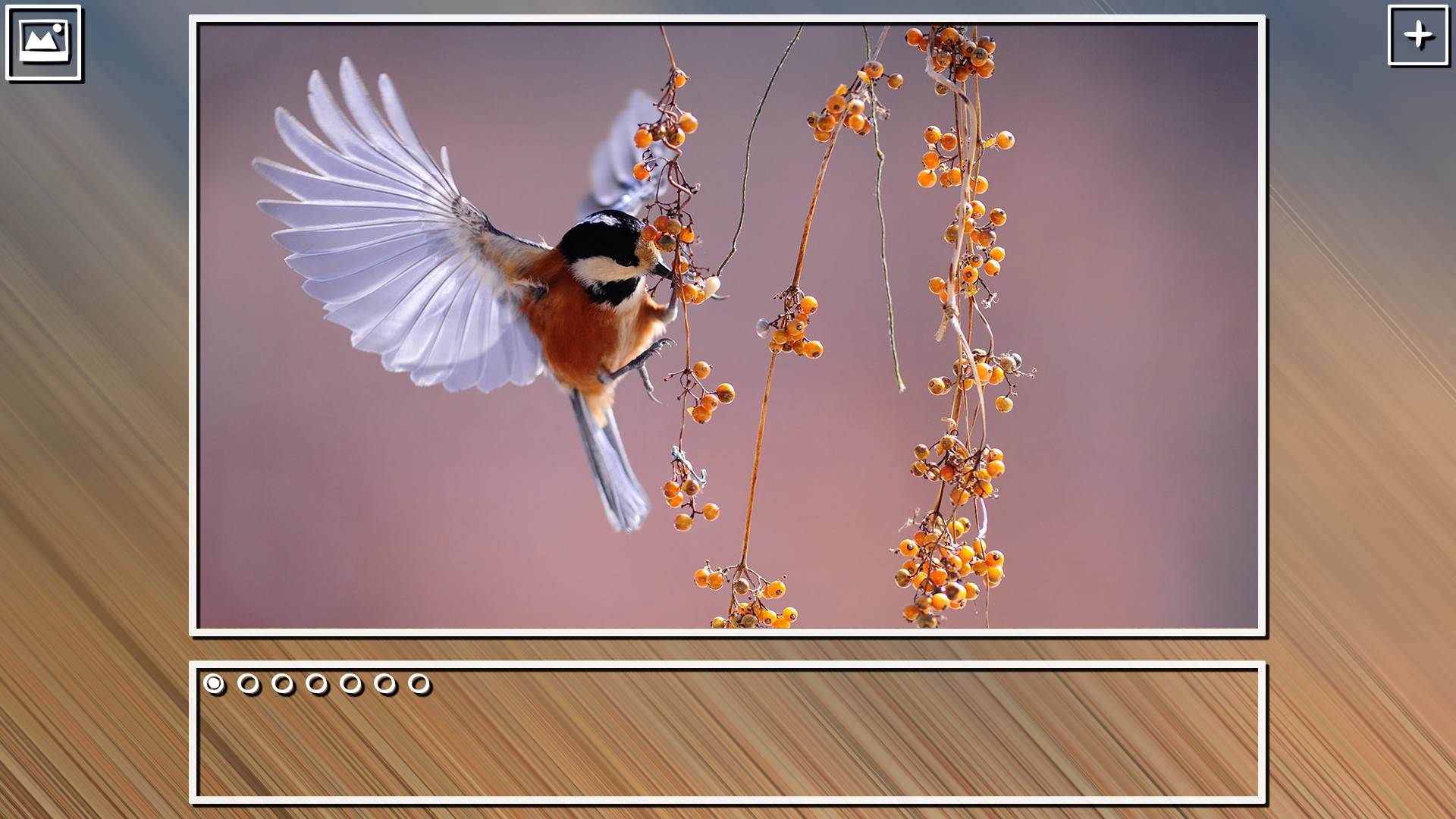 Super Jigsaw Puzzle: Generations – Birds Puzzles