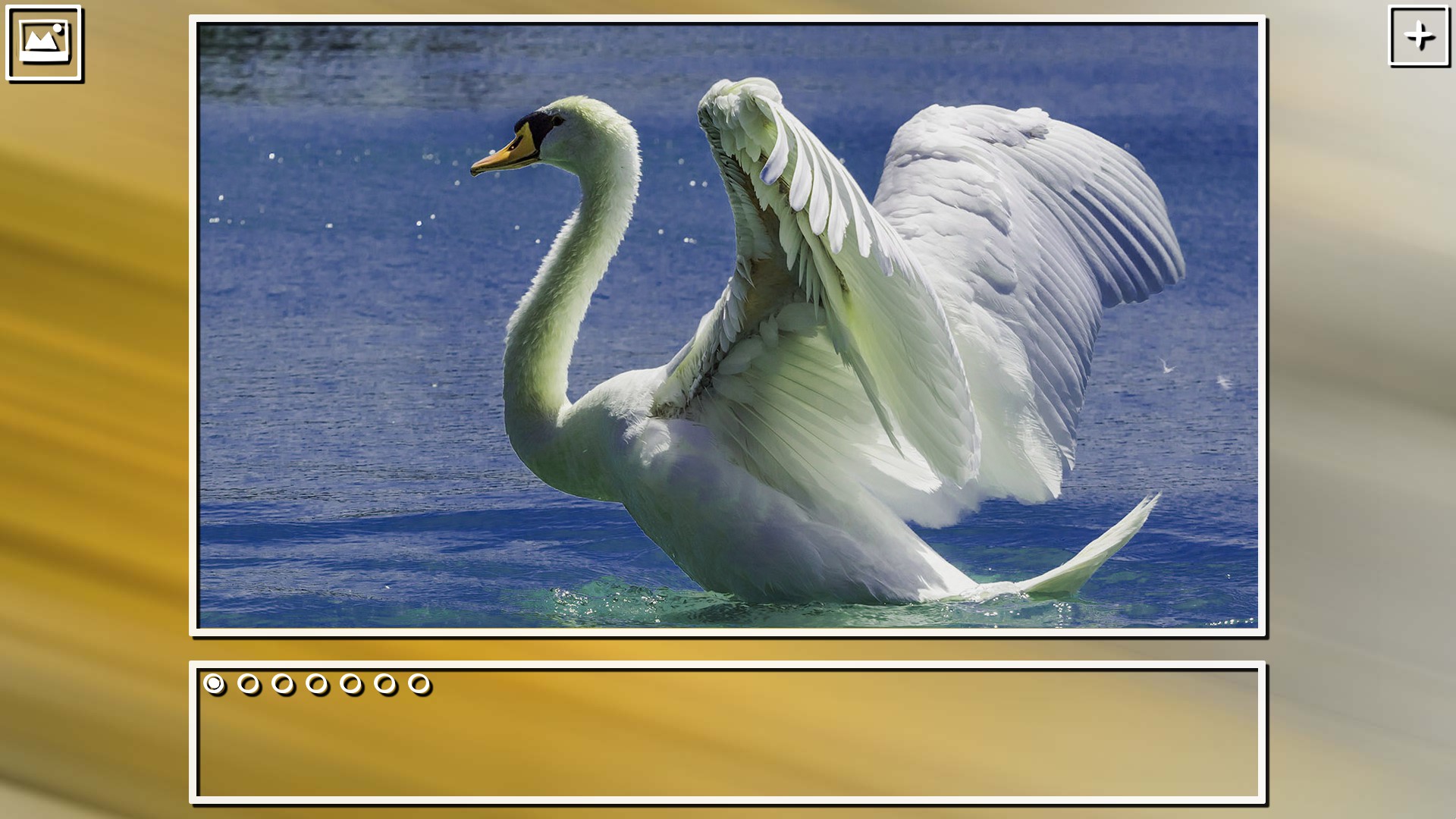 Super Jigsaw Puzzle: Generations – Birds Puzzles