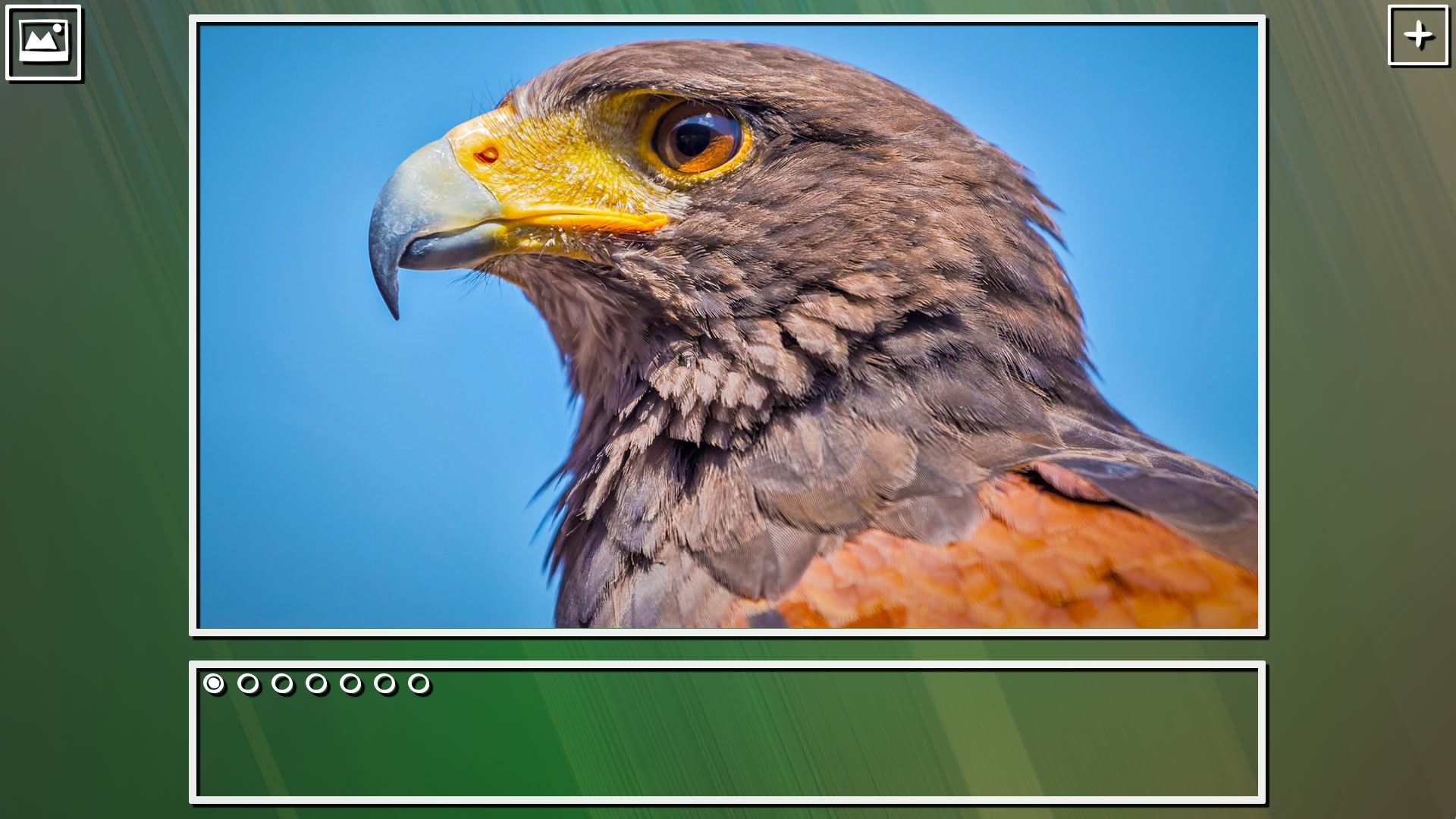 Super Jigsaw Puzzle: Generations – Birds Puzzles