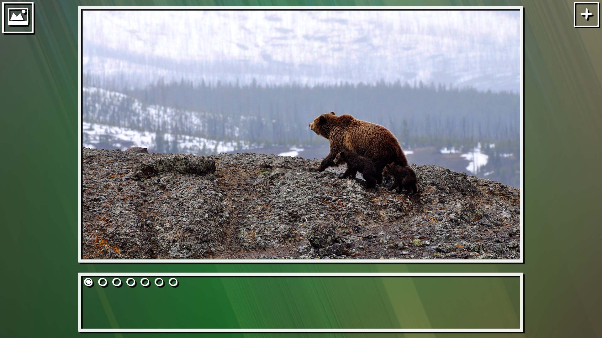 Super Jigsaw Puzzle: Generations – Bears Puzzles