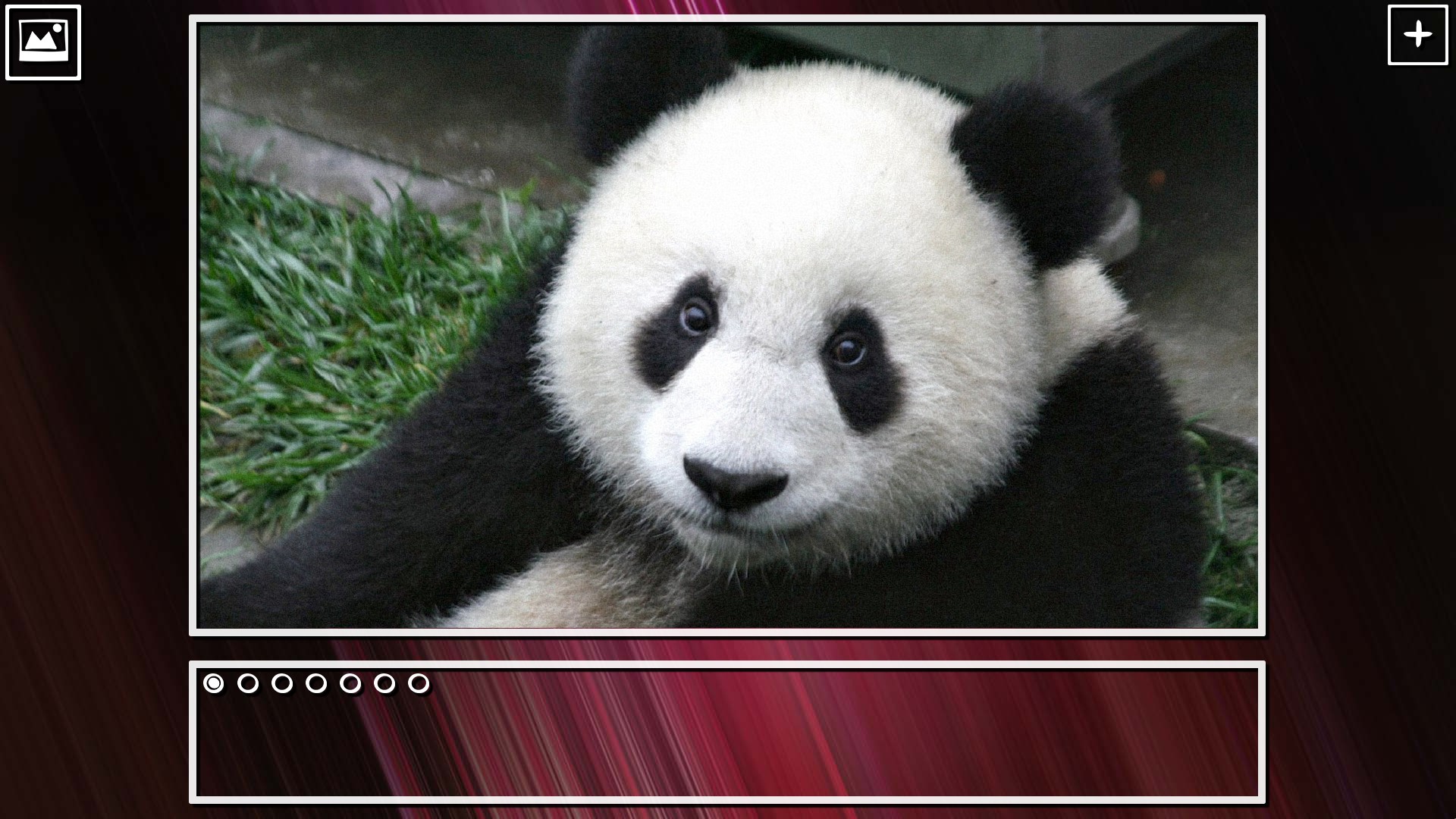 Super Jigsaw Puzzle: Generations – Bears Puzzles