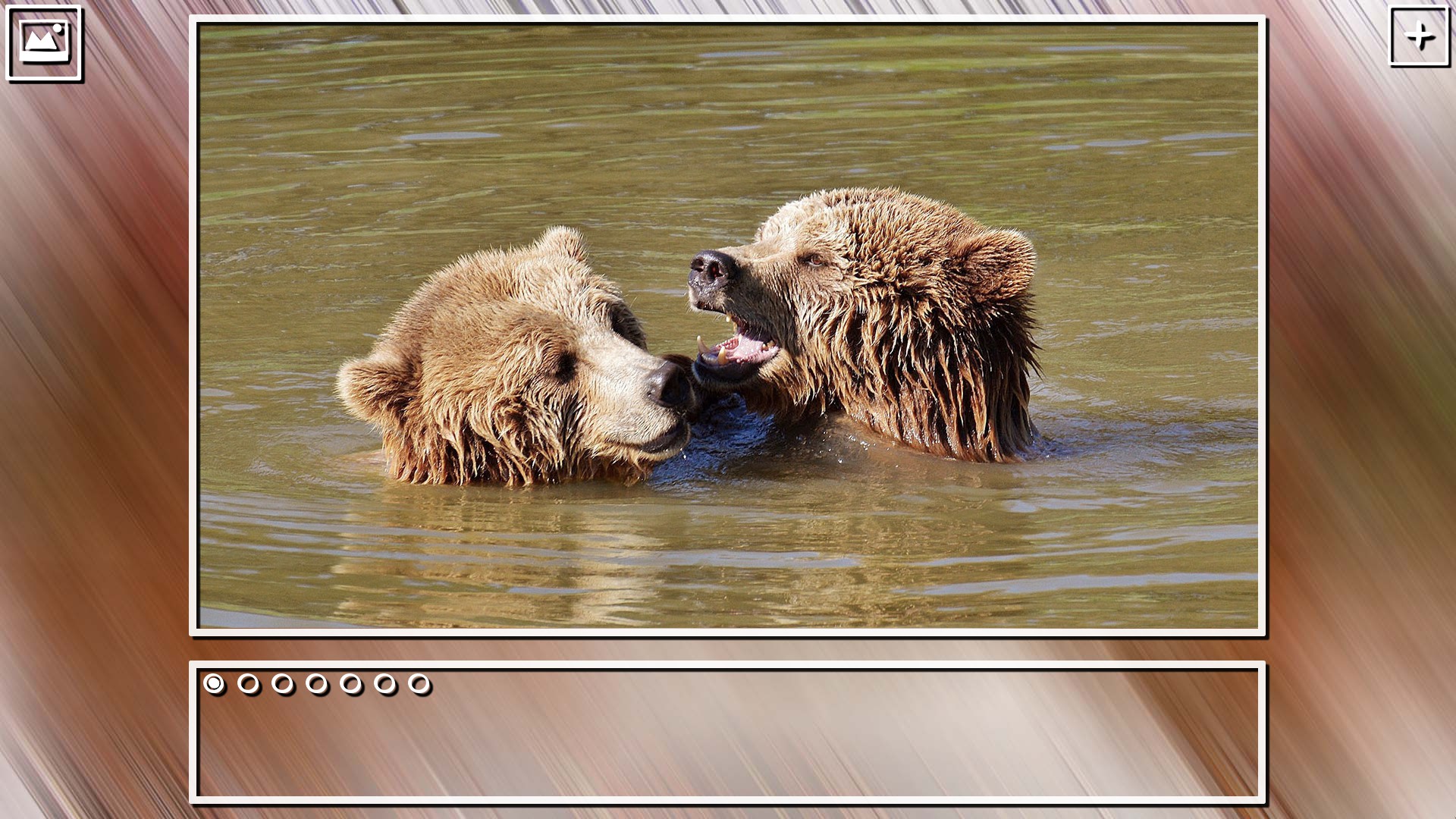 Super Jigsaw Puzzle: Generations – Bears Puzzles