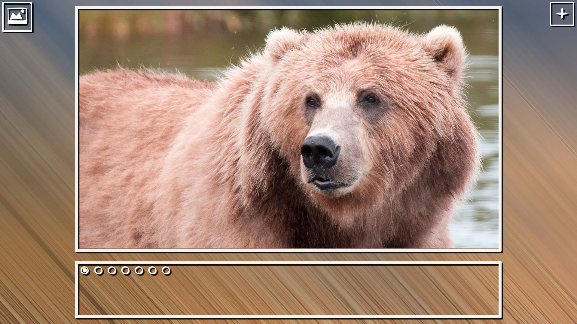 Super Jigsaw Puzzle: Generations – Bears Puzzles