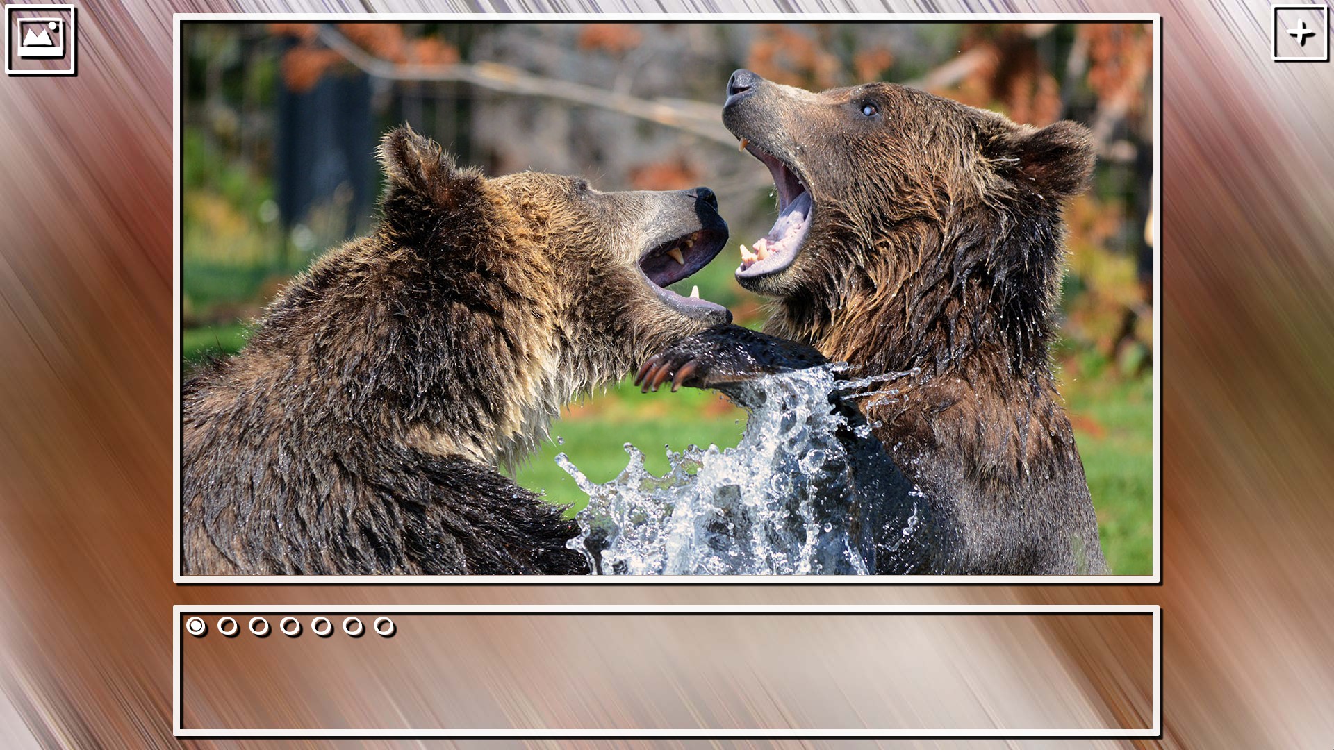 Super Jigsaw Puzzle: Generations – Bears Puzzles