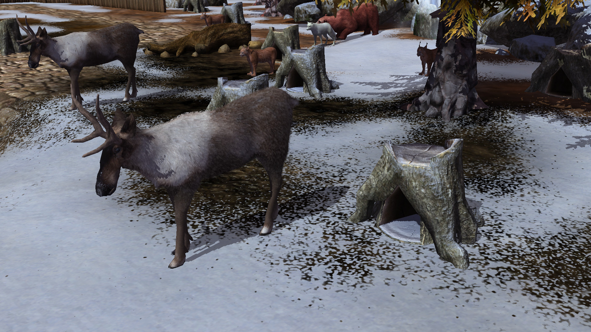 Wildlife Park 3: Alaska