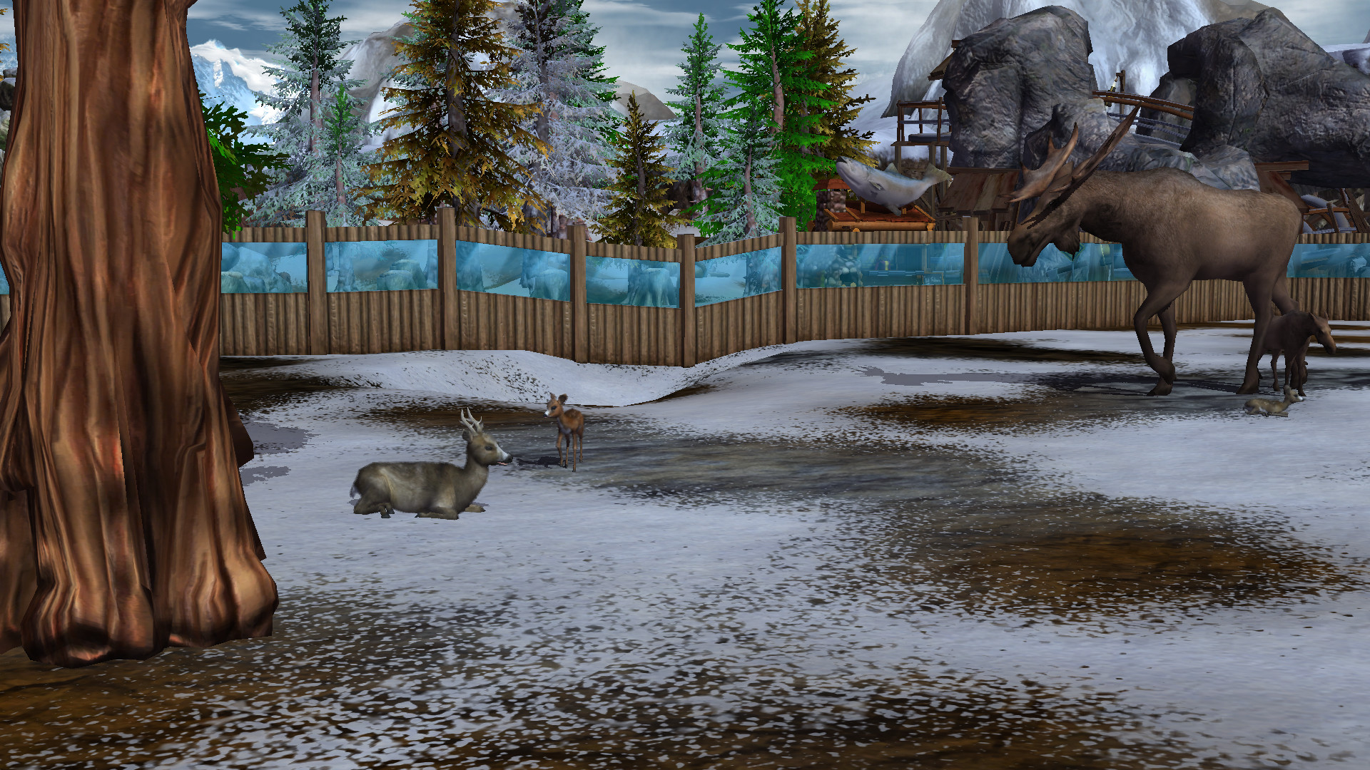 Wildlife Park 3: Alaska