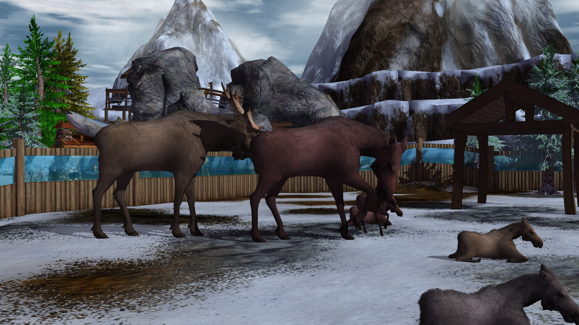Wildlife Park 3: Alaska