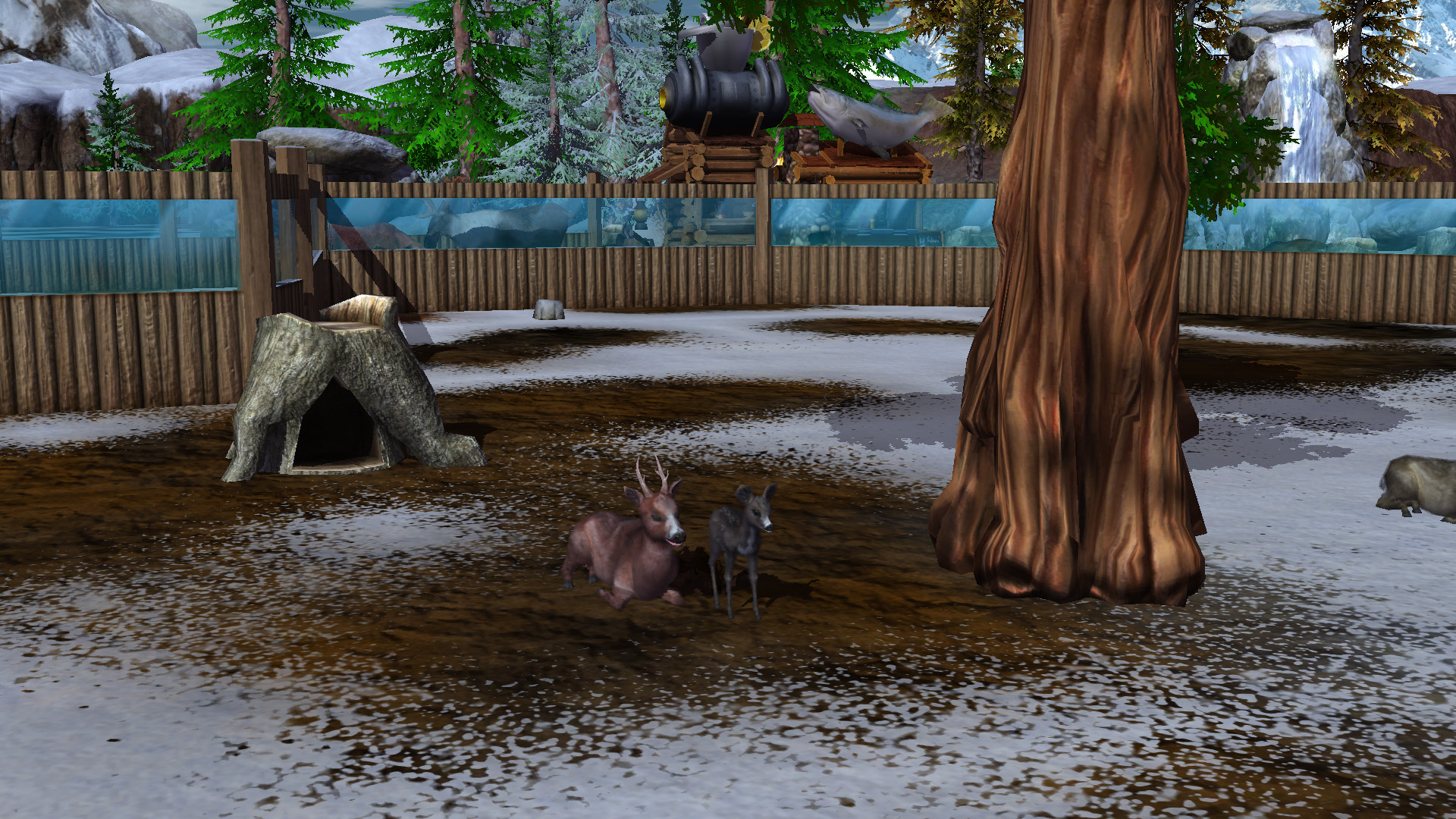 Wildlife Park 3: Alaska