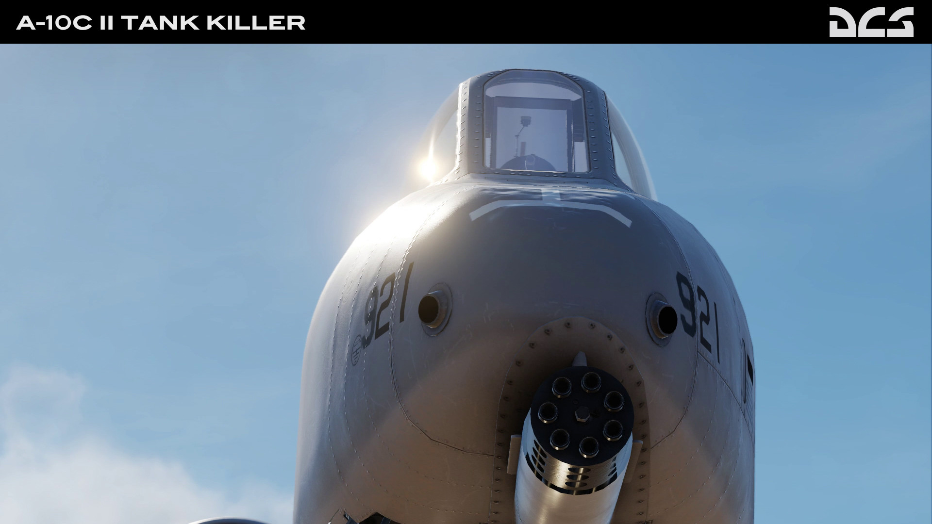 DCS: A-10C II Tank Killer