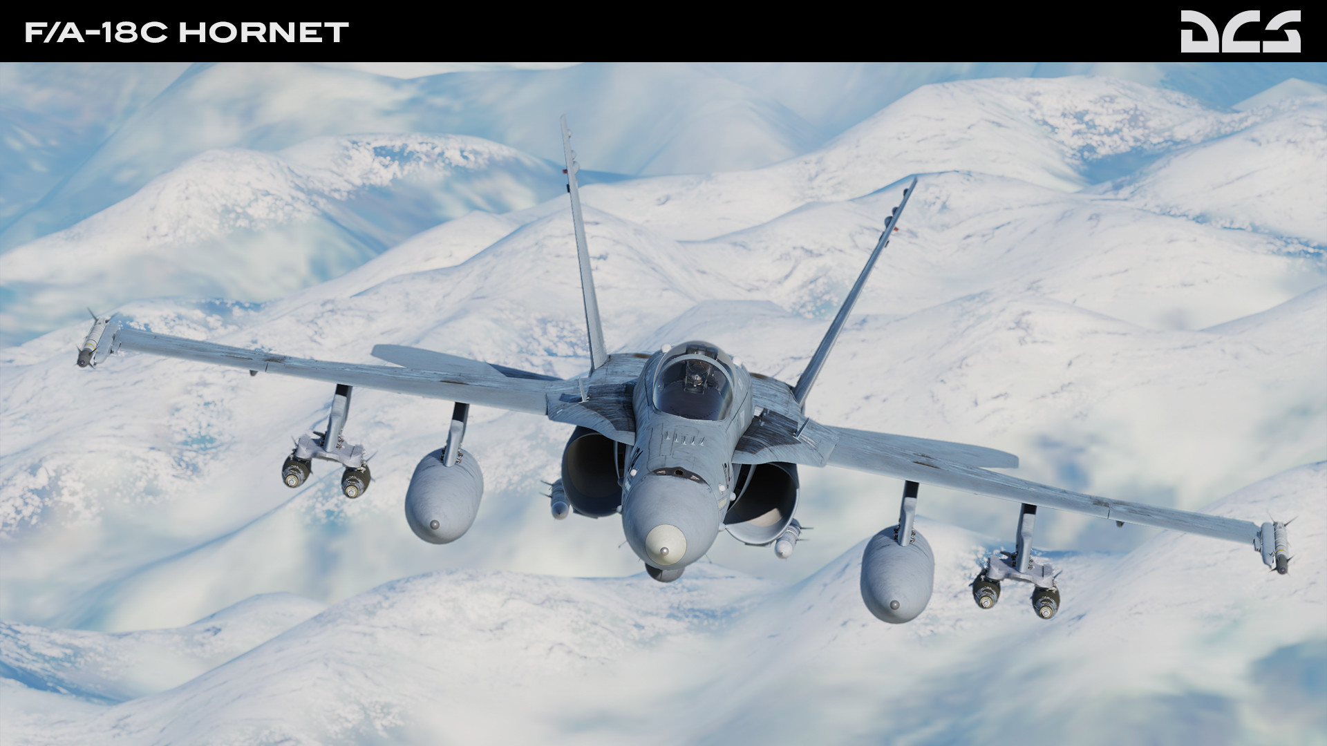 DCS World: F/A-18C Hornet